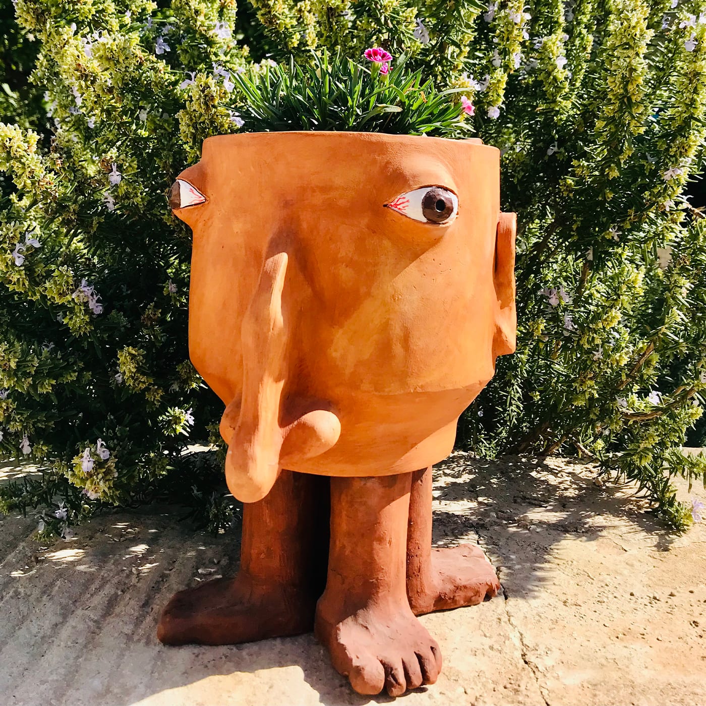 Walking Head Medium Terracotta Flower Pot - Freaklab