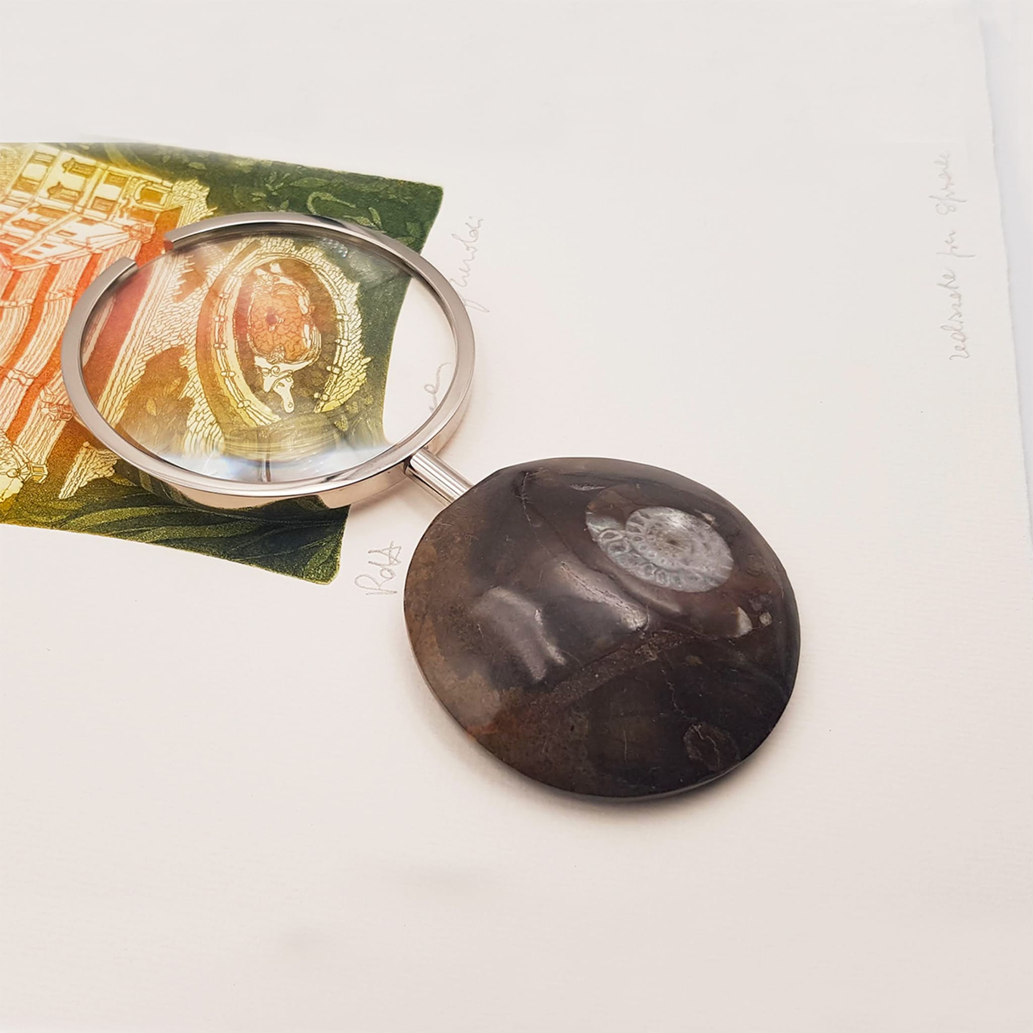 Ammonite Magnifying Glass by Nino Basso - Alternative view 1