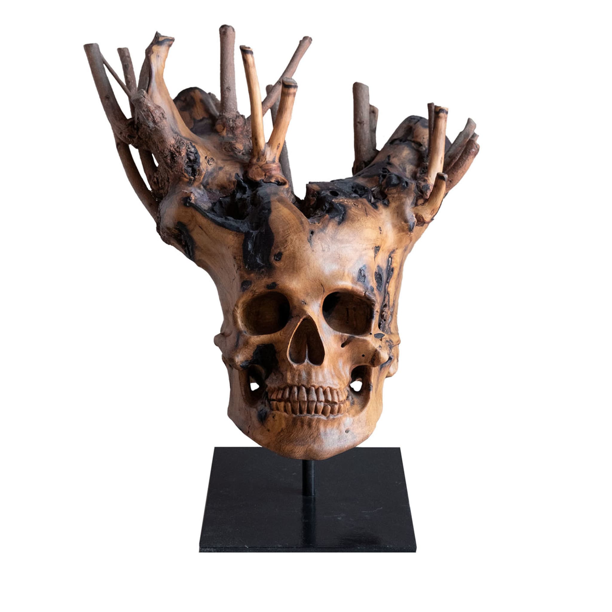 Branched Skull sculpture - Main view