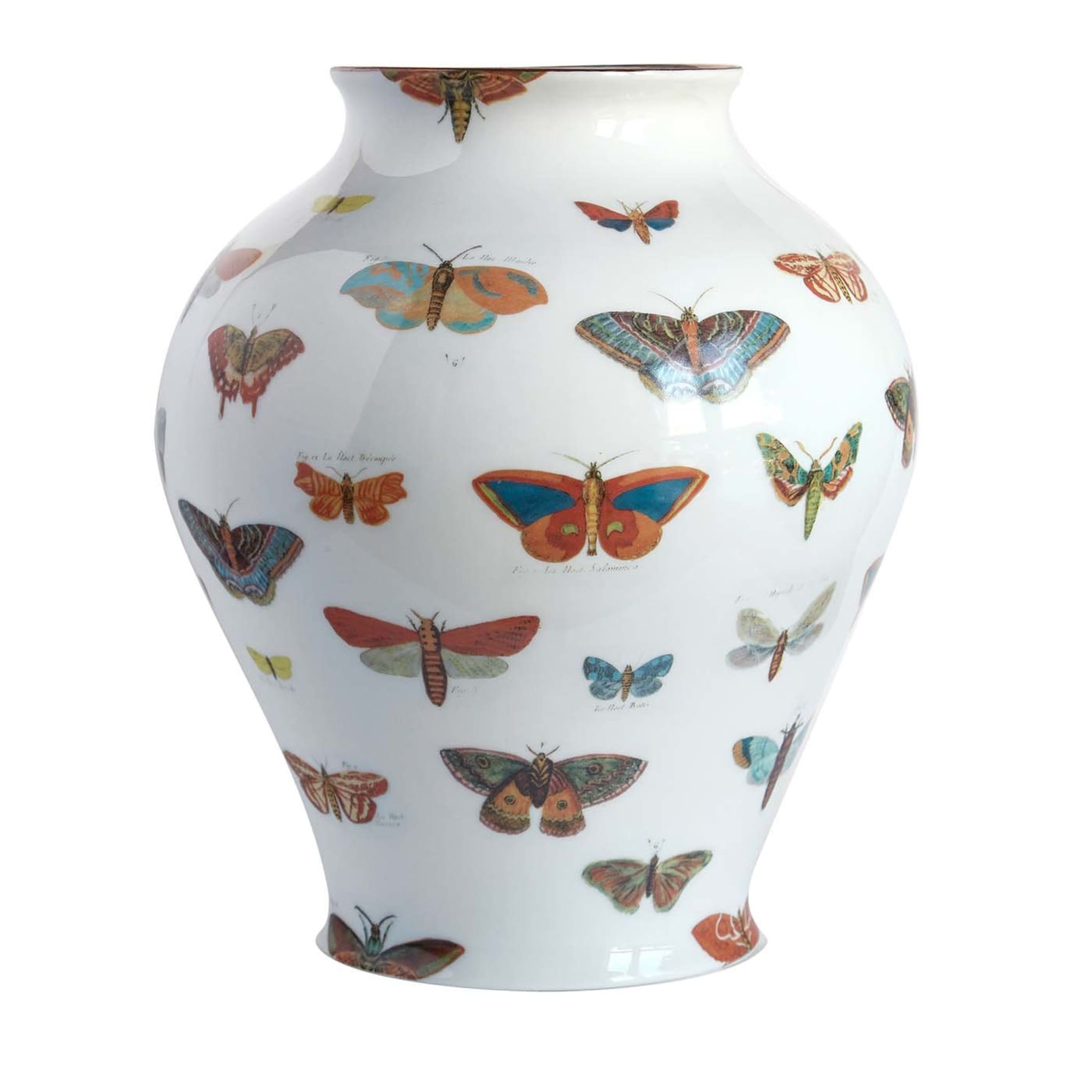 Butterflies Amphora Porcelain Vase H27Cm - Main view