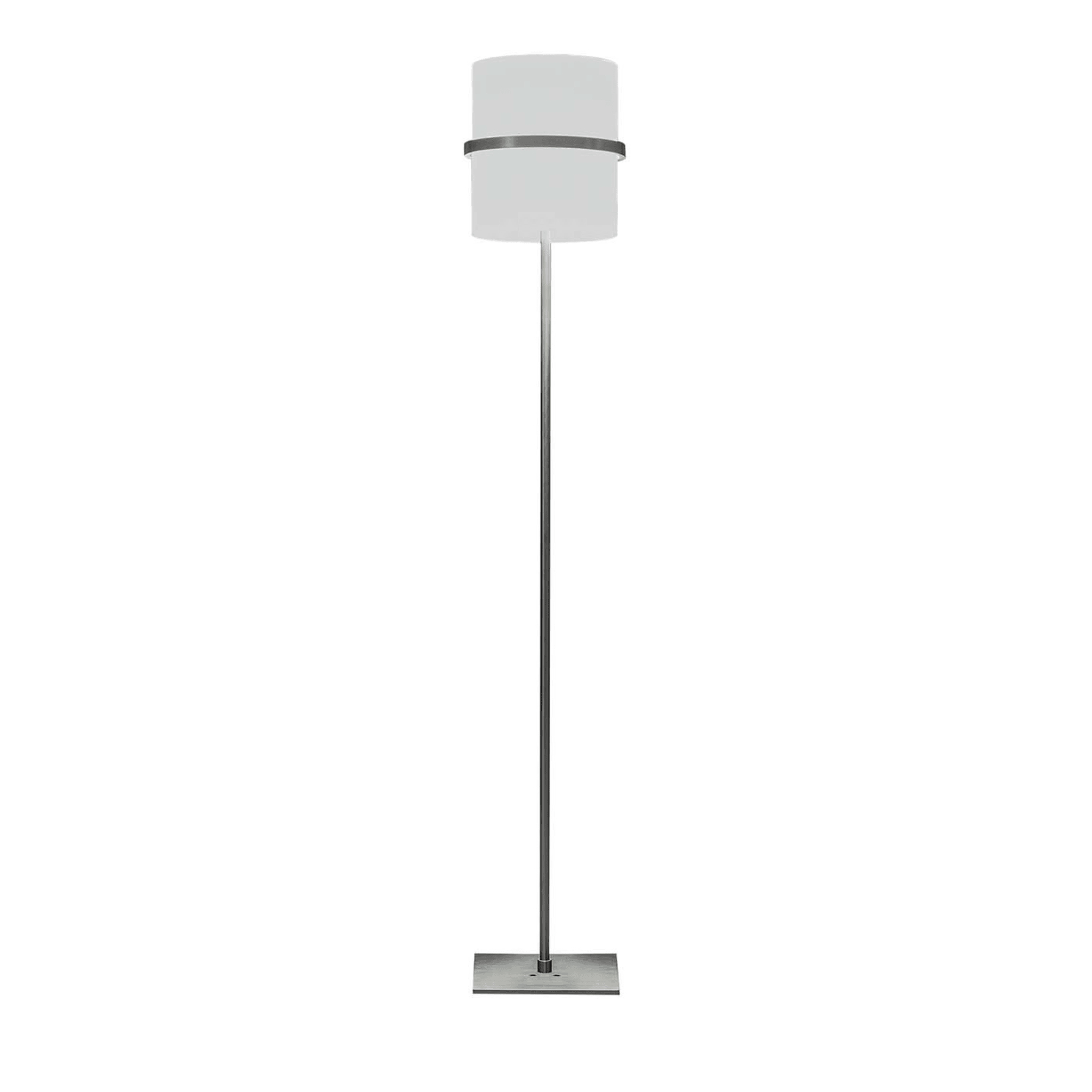 Boa Floor Lamp By Carlo Guglielmi - Main view
