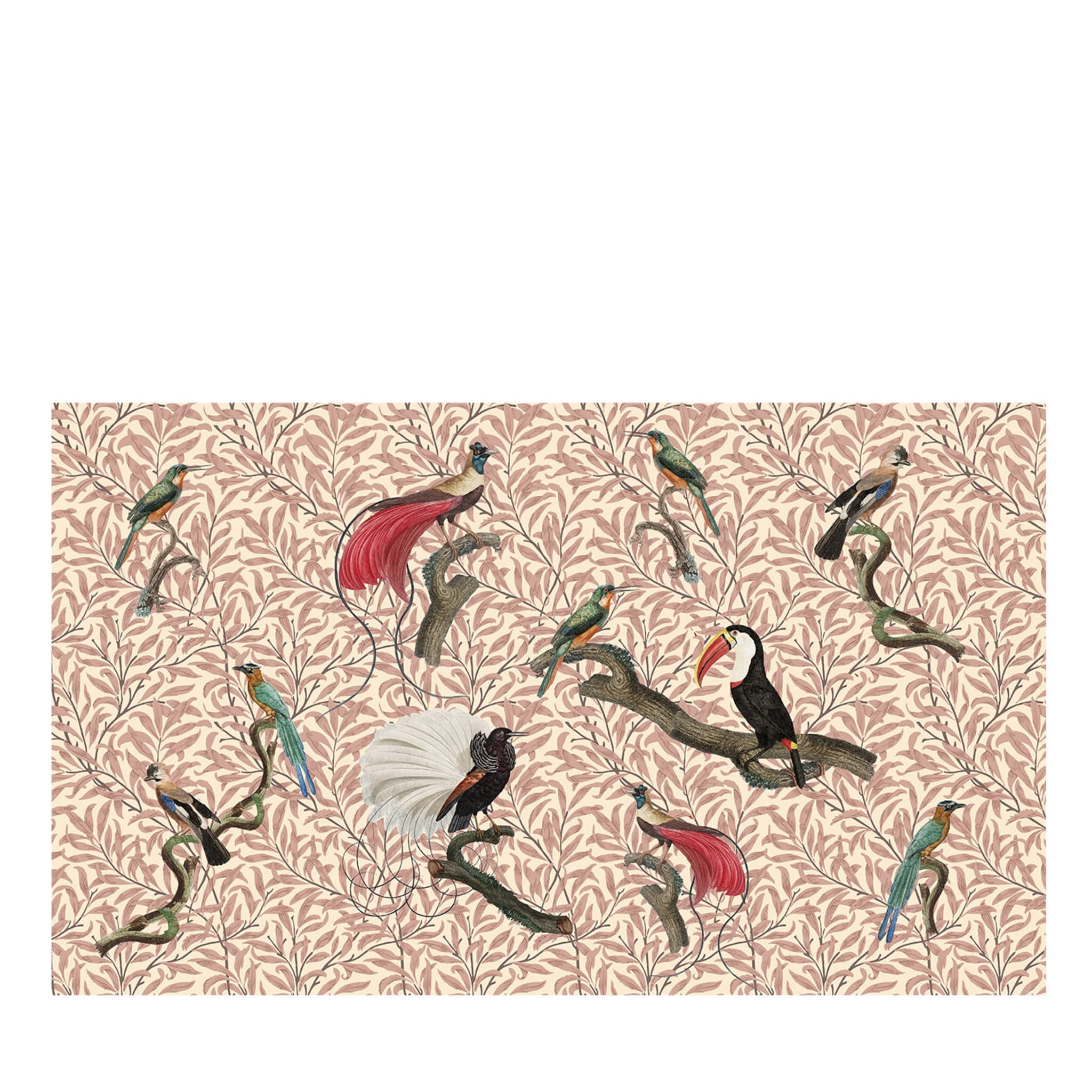 Papel pintado Plumas exóticas malva pálido de Matteo Stucchi - Vista principal