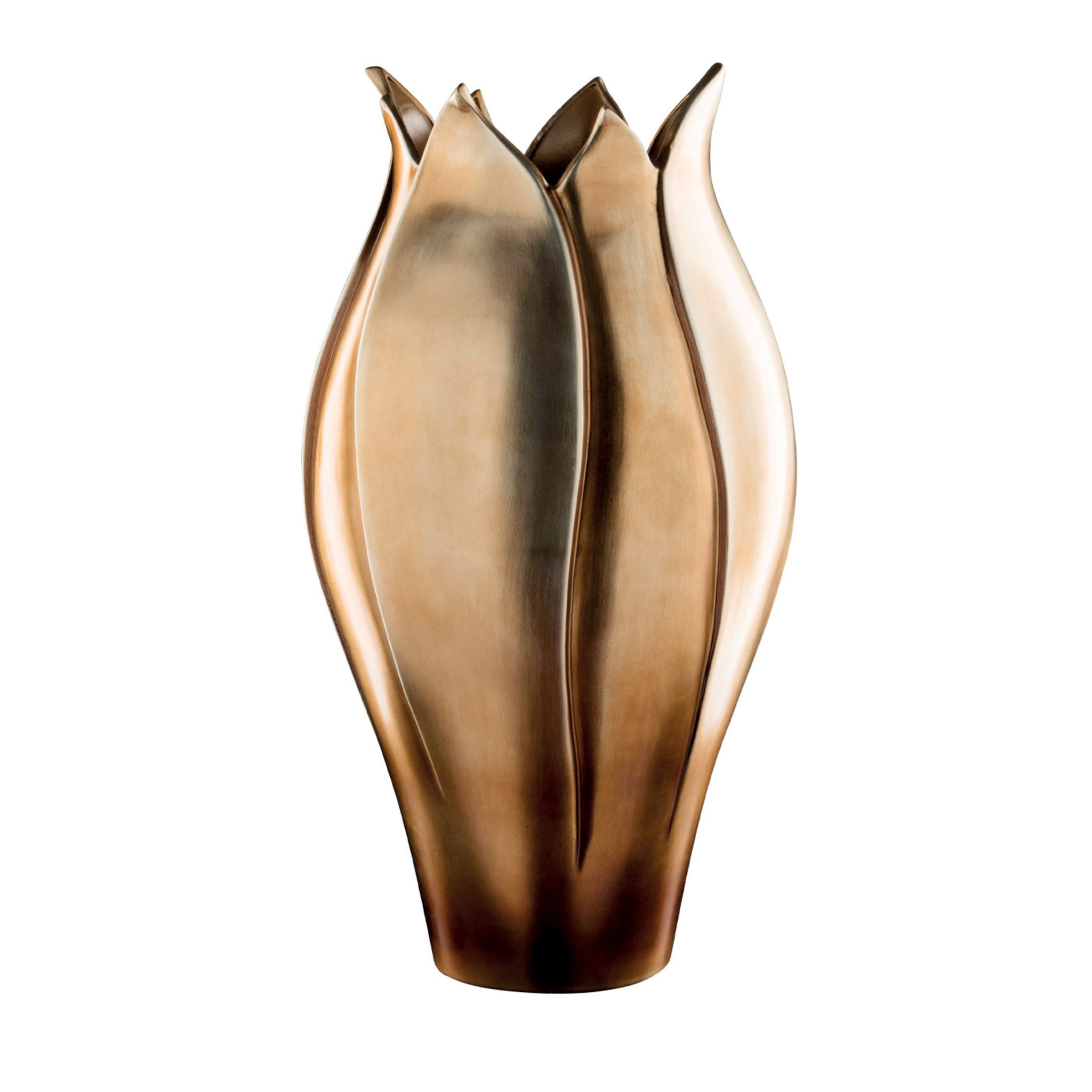 Tulpe Große Vase - Hauptansicht