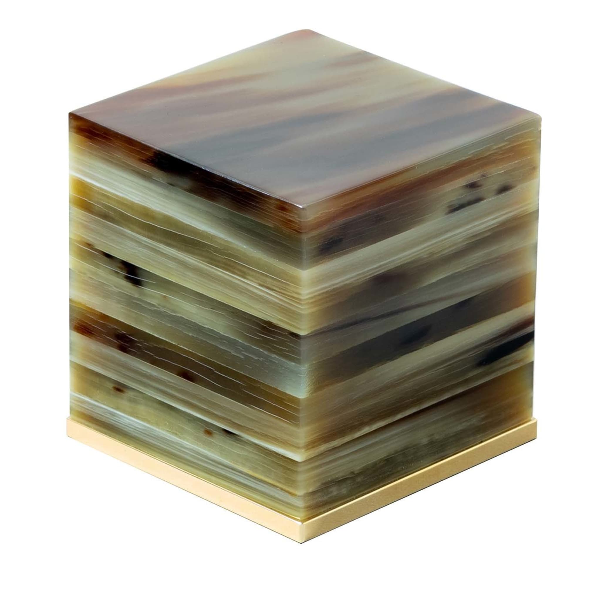 Cube Paperweight in Natural Horn - Main view