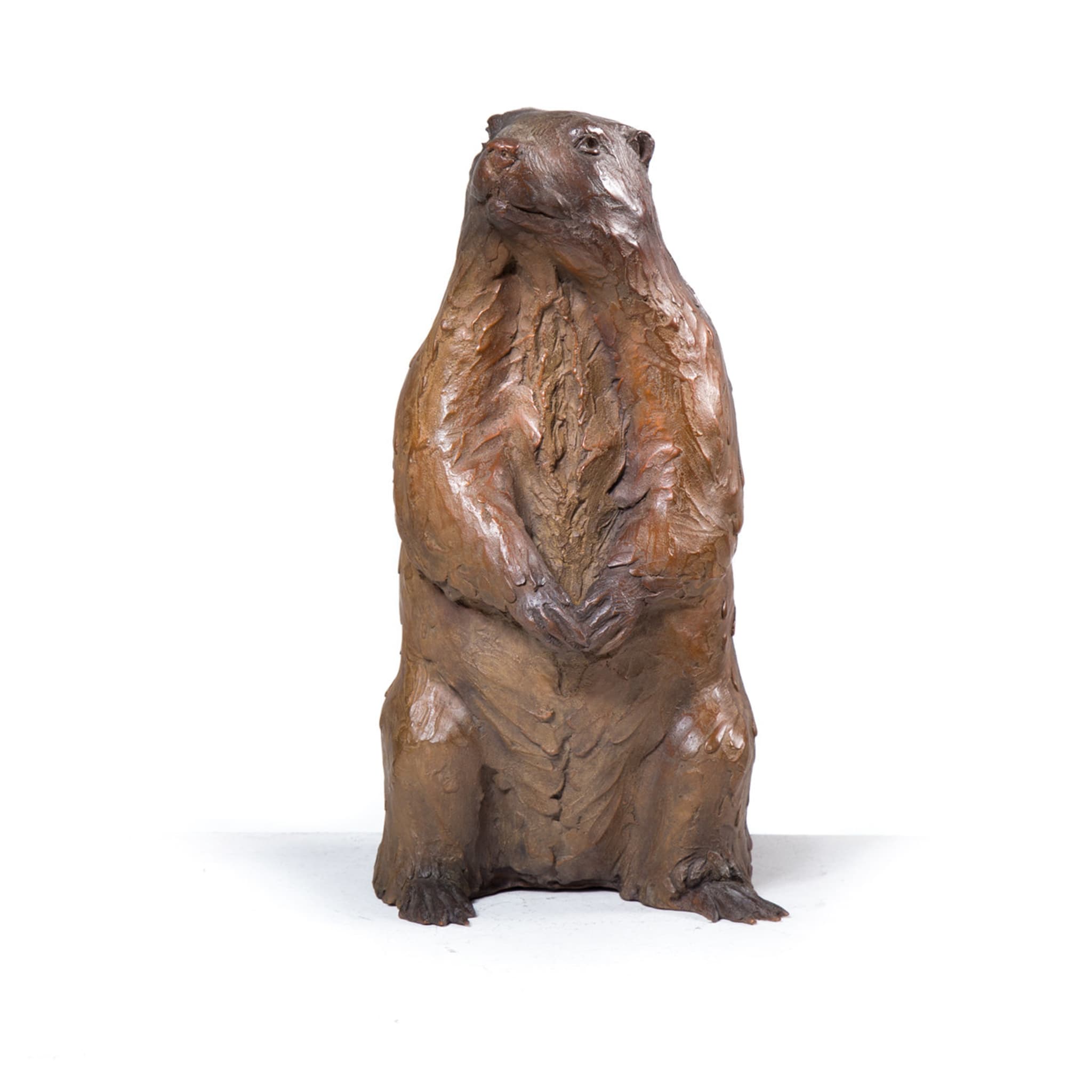 Marmot Sculpture - Alternative view 1