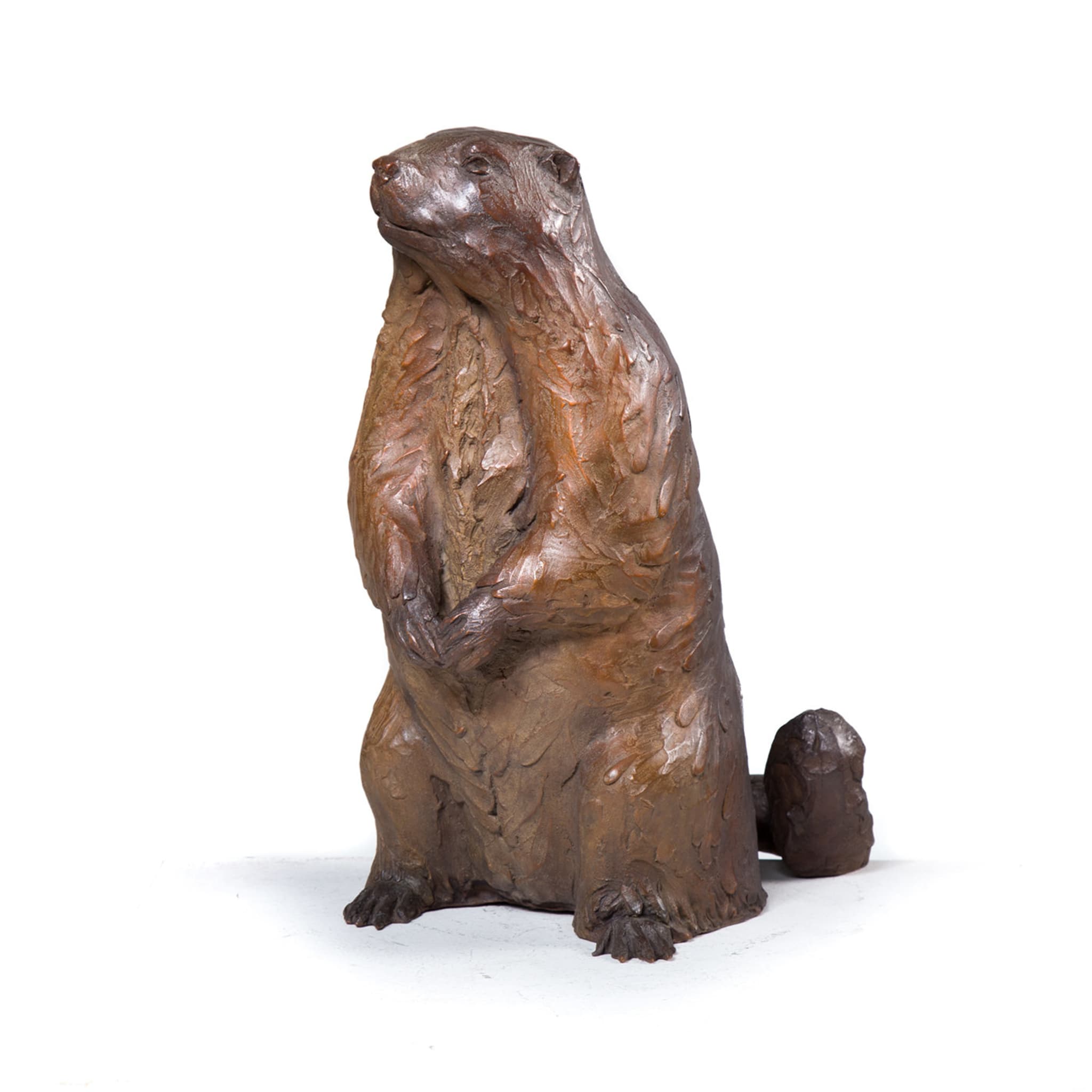 Marmot Sculpture - Alternative view 2