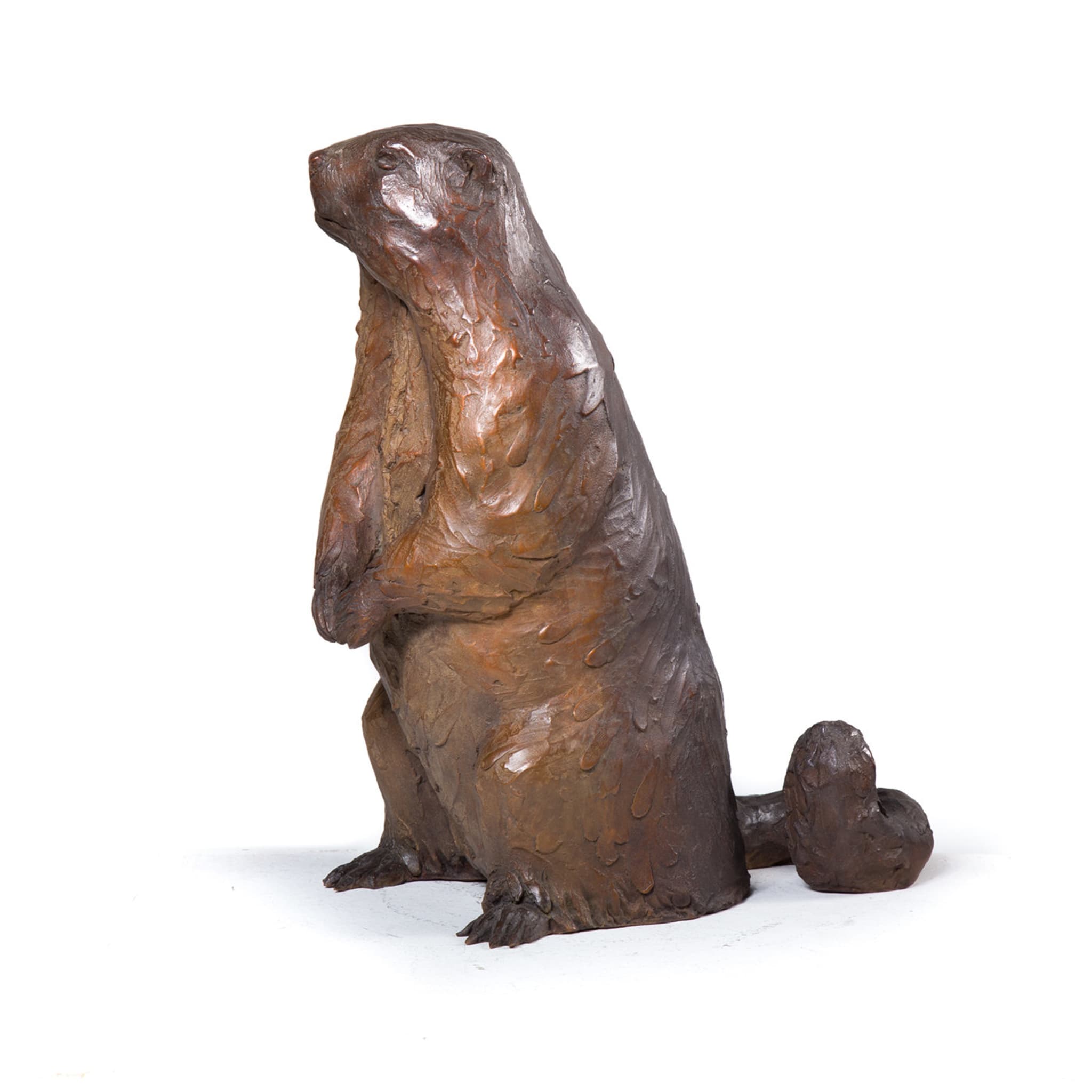 Marmot Sculpture - Alternative view 3