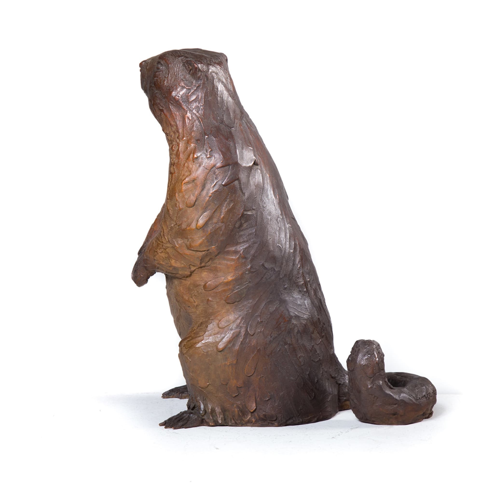 Marmot Sculpture - Alternative view 4