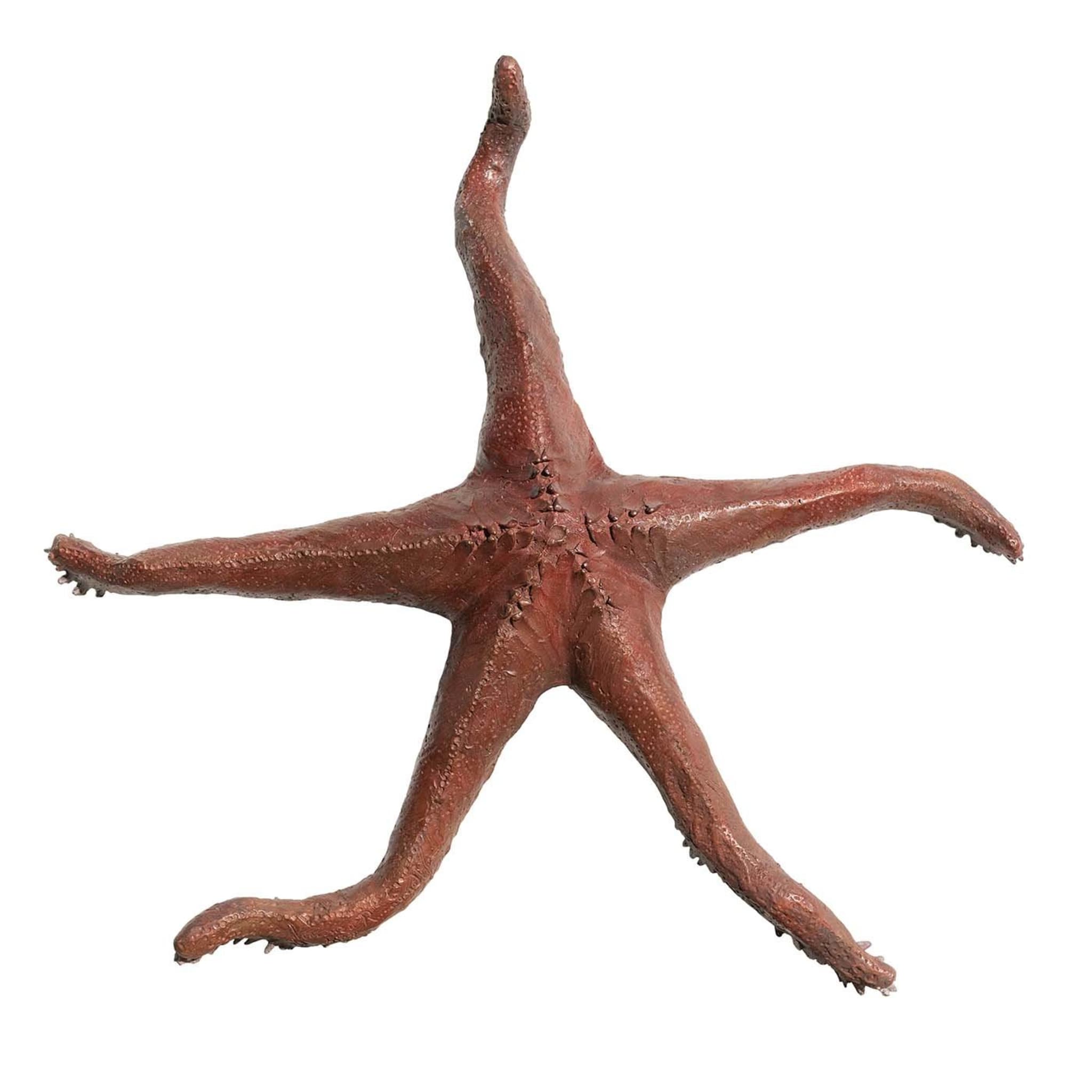Starfish Sculpture - Main view