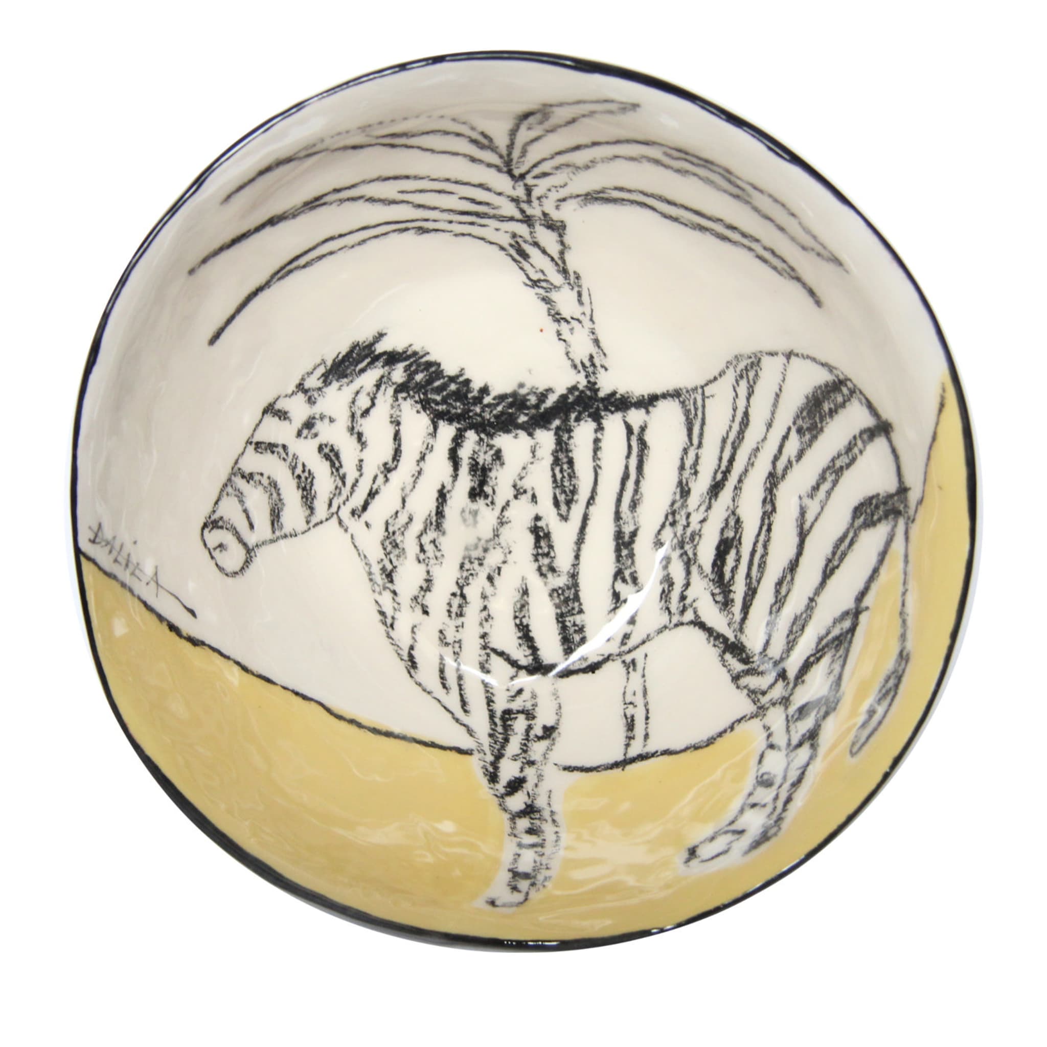Die Zebra-Schale - Hauptansicht