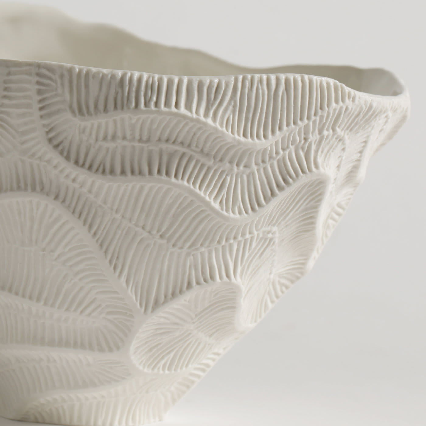Fossilia White Bowl - Fos Ceramiche