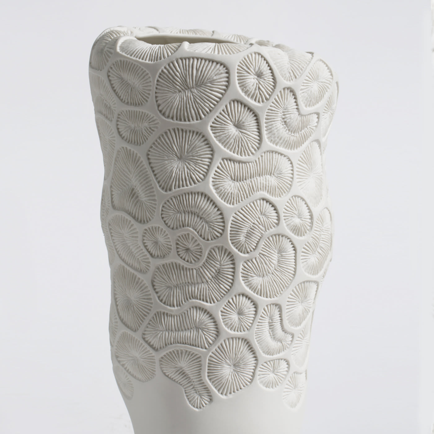 Fossilia Vase - Fos Ceramiche