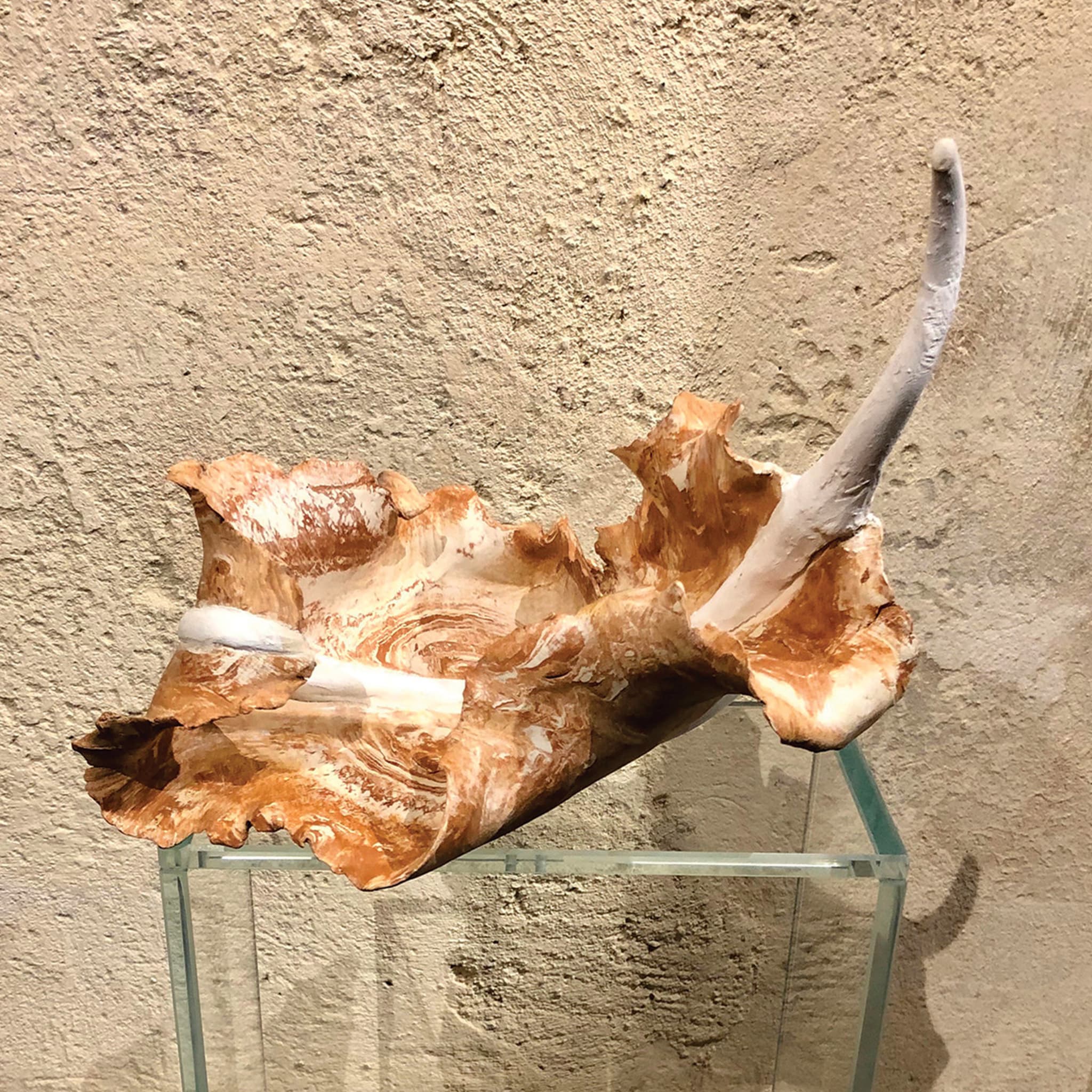 Feather Cotto Lombardo Sculpture - Alternative view 4