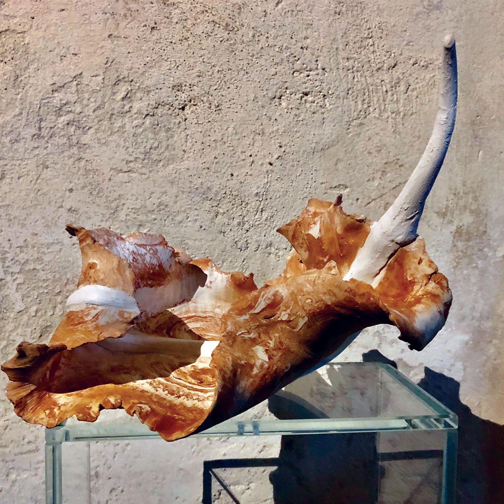 Feather Cotto Lombardo Sculpture - Alternative view 5