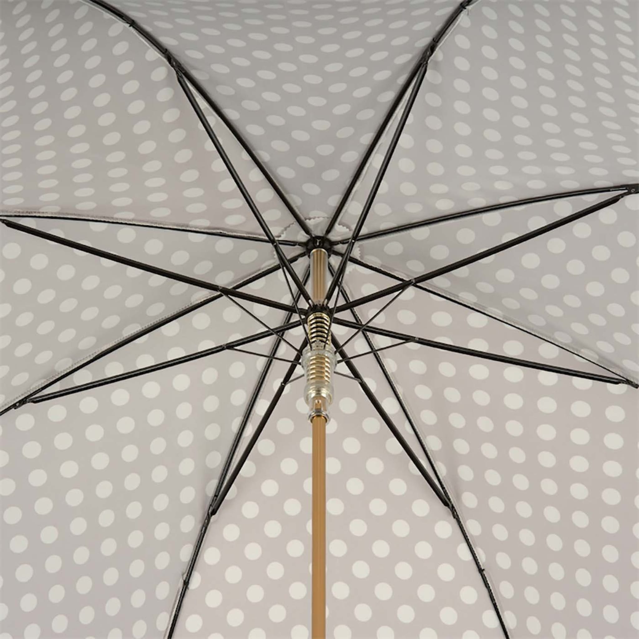 Chihuahua Umbrella with Dots - Alternative view 3