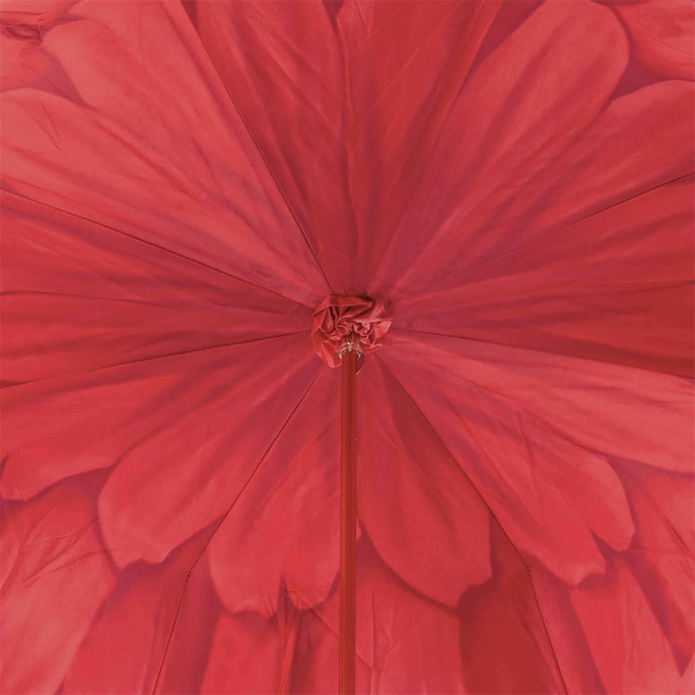 Red Dahlia Umbrella - Pasotti