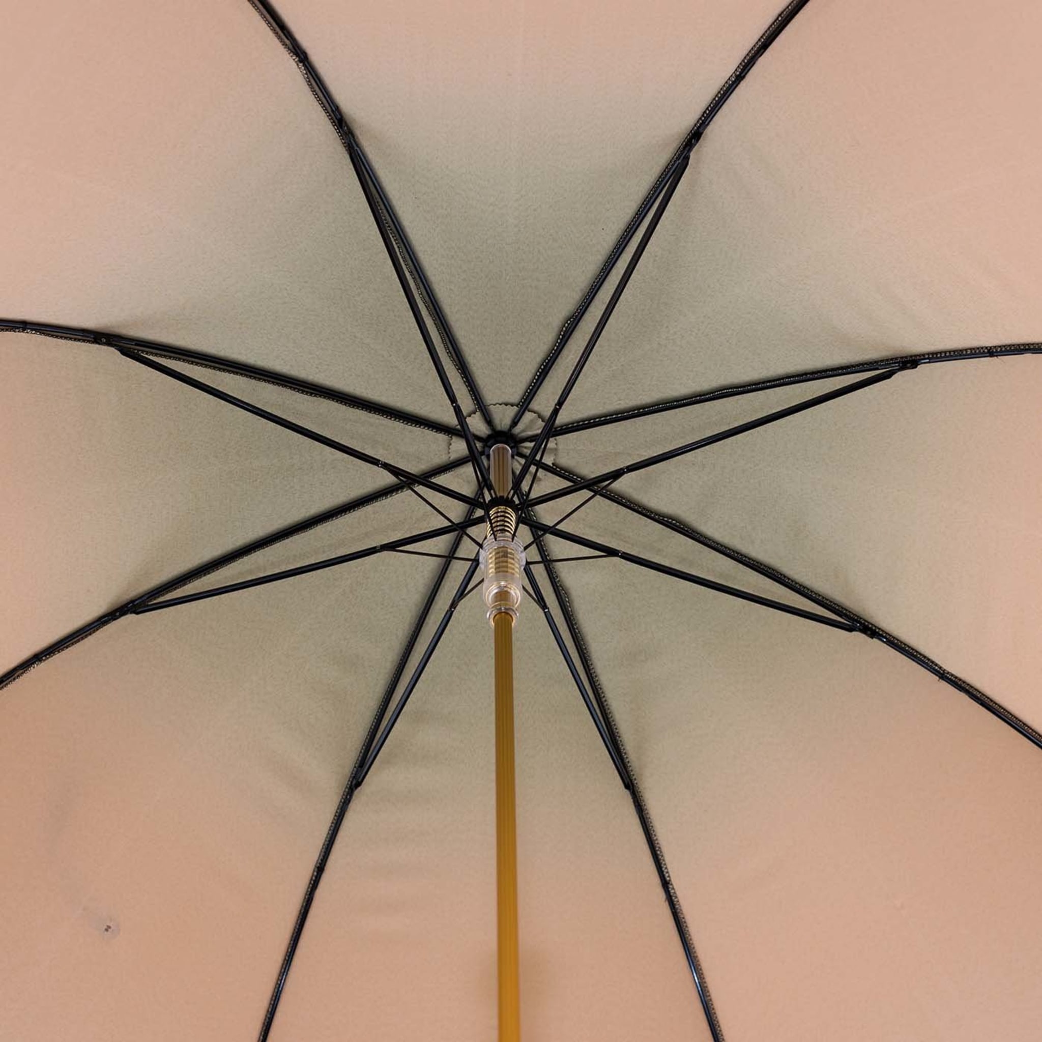 Parapluie iconique du Lion d'or - Vue alternative 2
