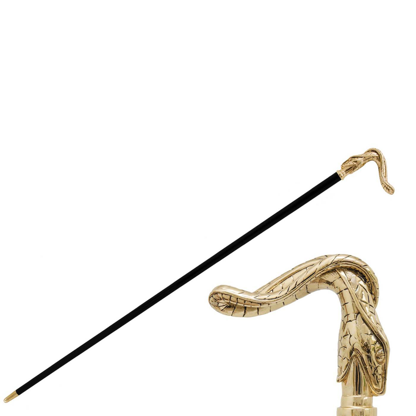 Golden Snake Cane - Pasotti