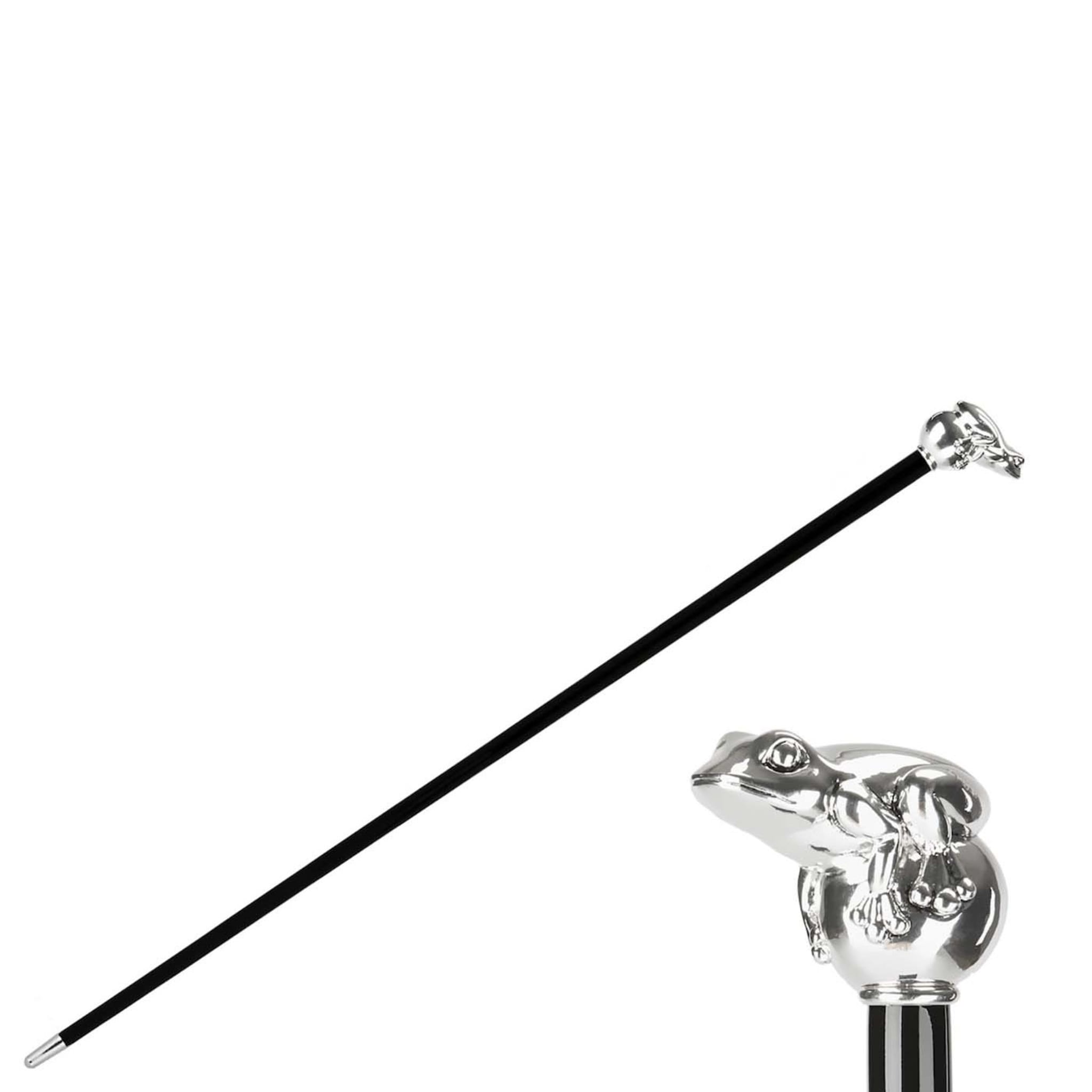 Silver Frog Cane - Alternative view 1