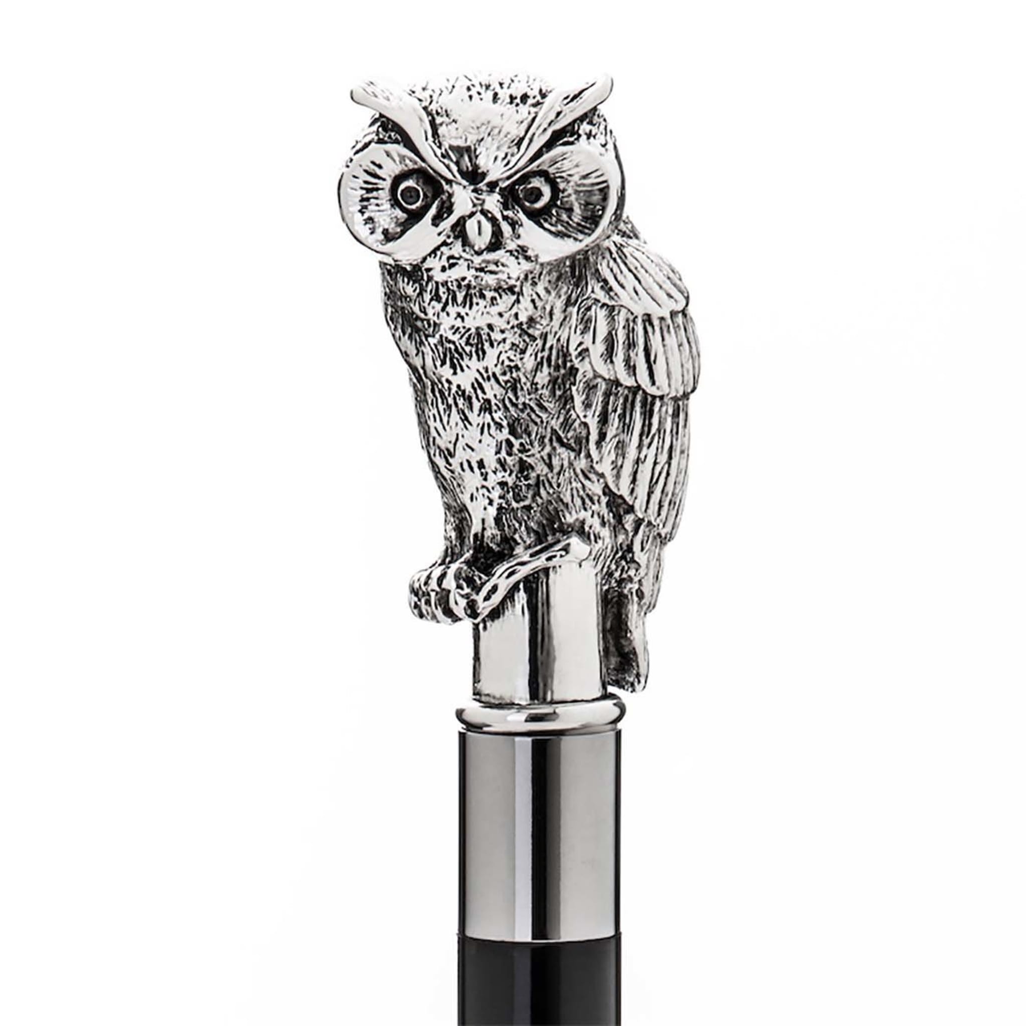 Silver Owl Shoehorn - Alternative view 1