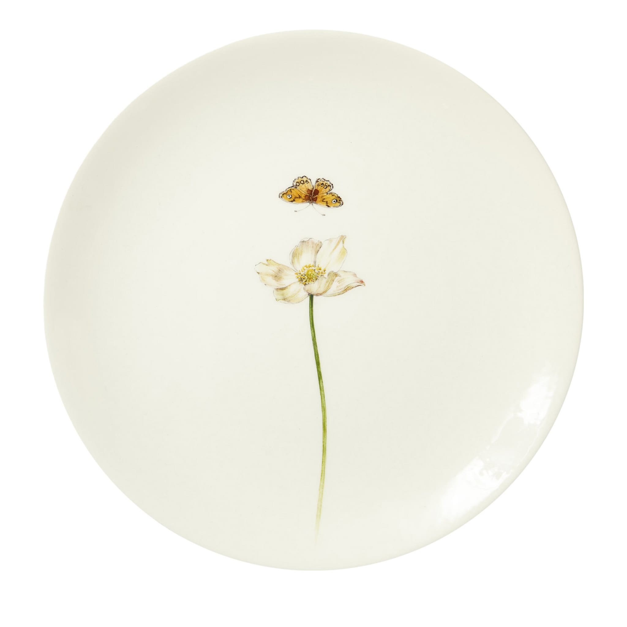 Bloom Anemone Hupehensis Dinner Plate - Main view