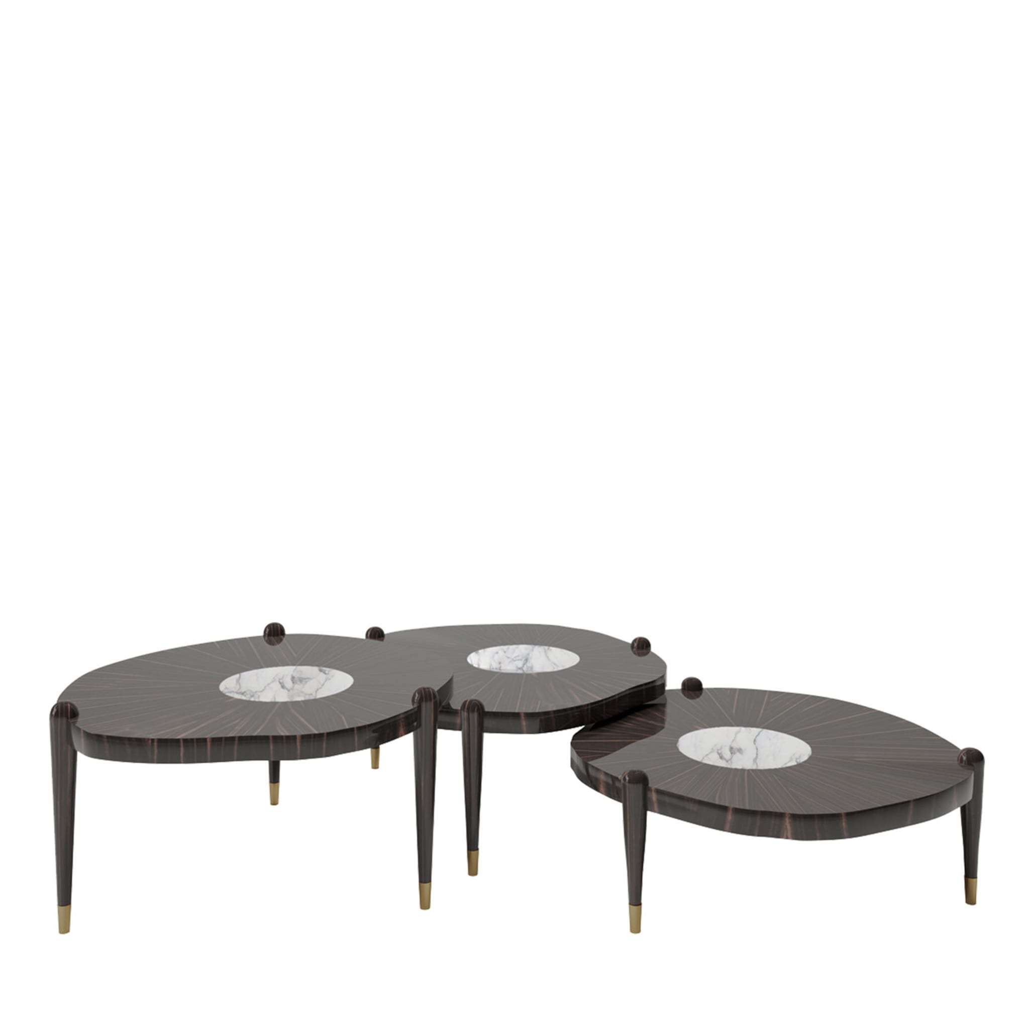 Fyllo Set of 3 Coffee Tables - Vue principale