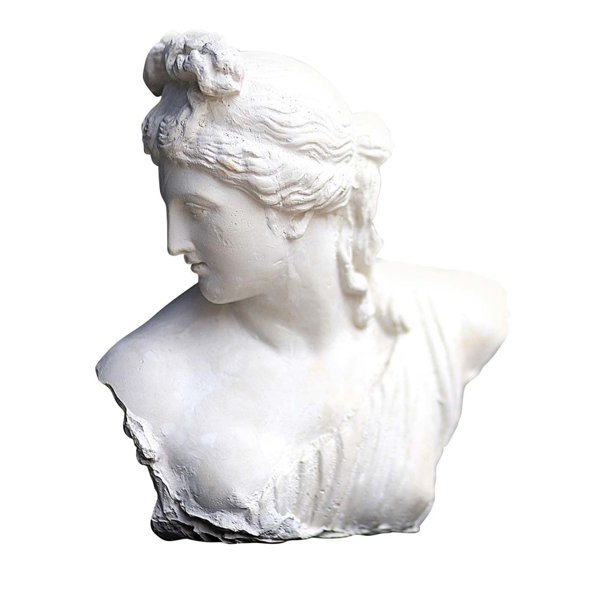 Venus Kallipyge Skulptur - Hauptansicht