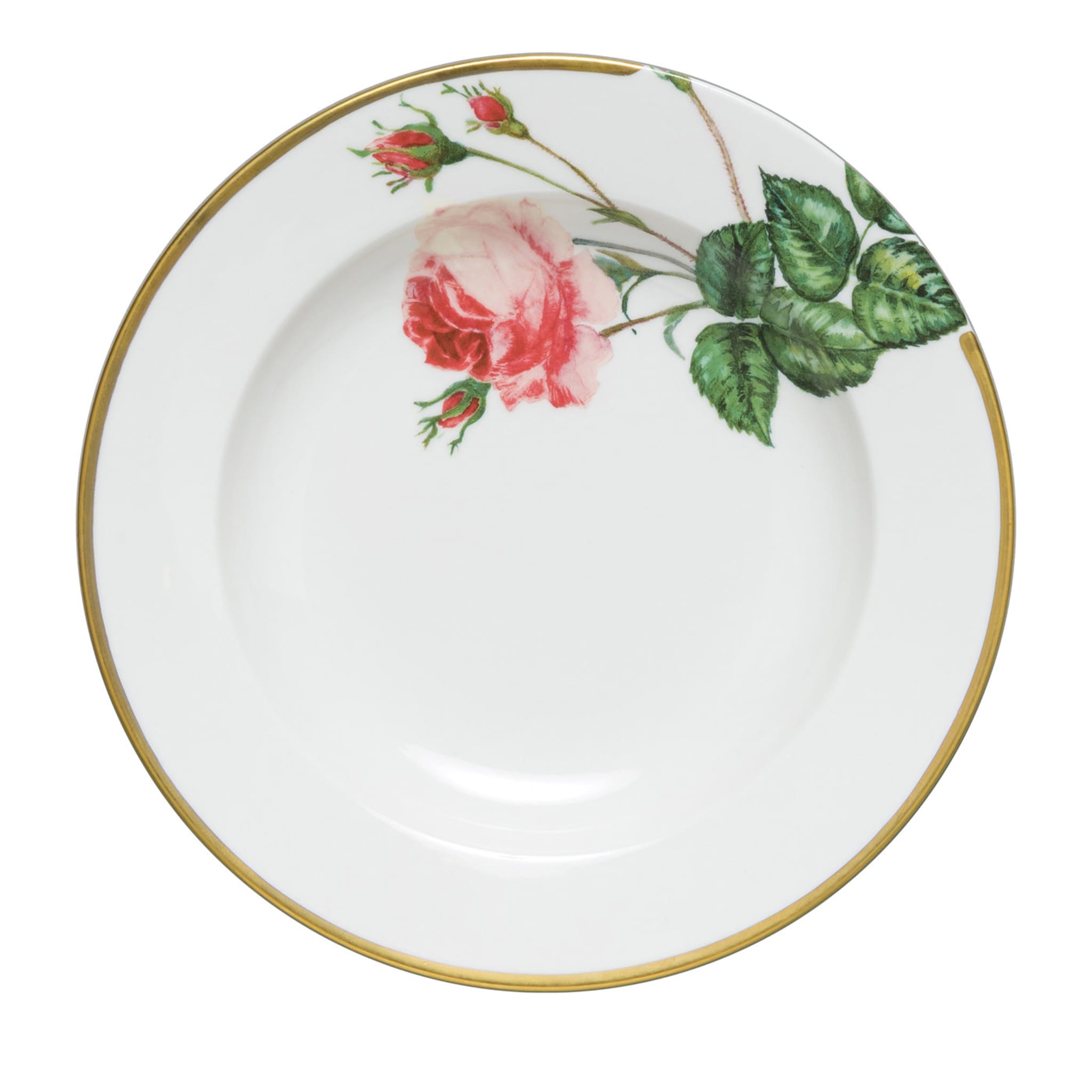 Rose Rosse Collection Dinner Plate - Main view