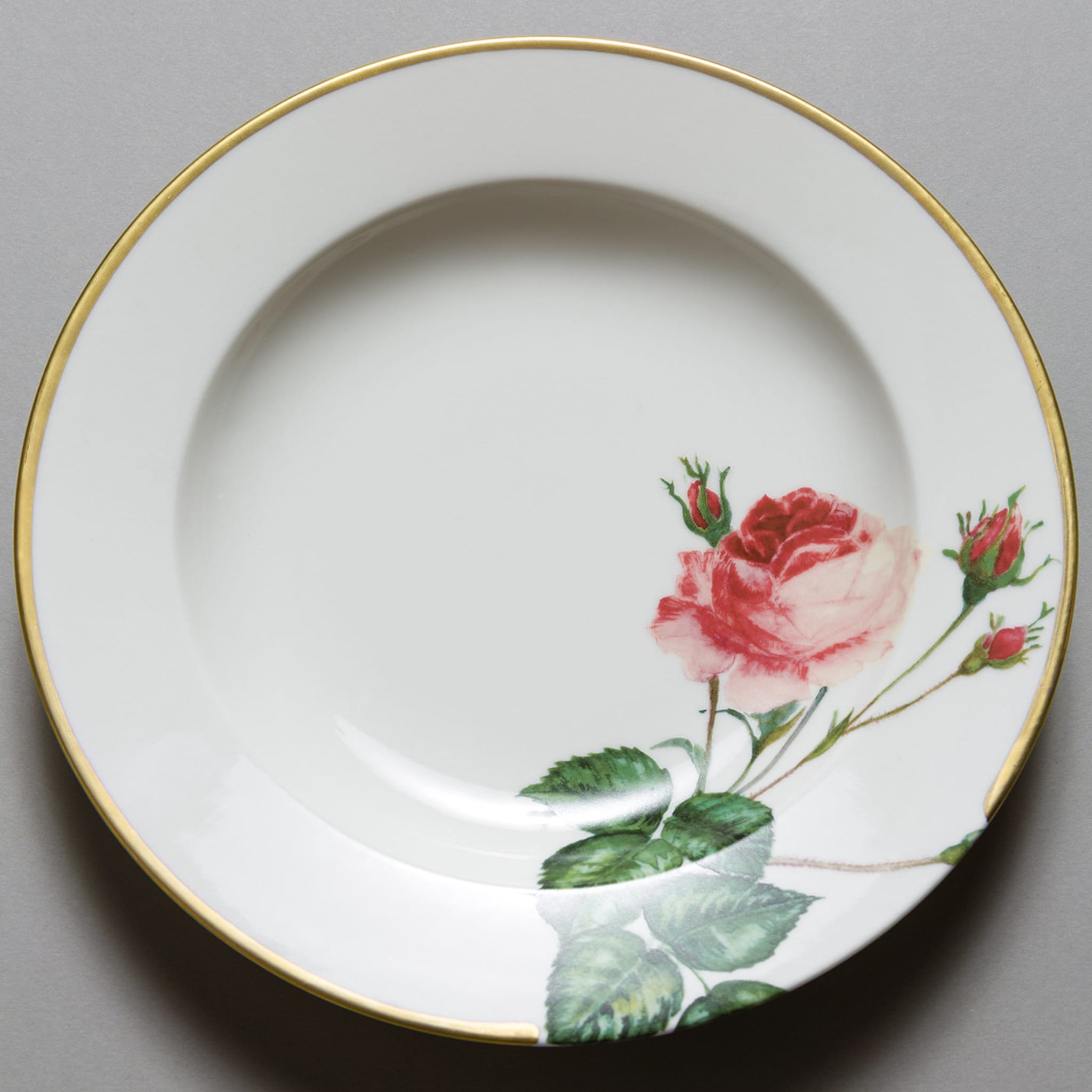 Rose Rosse Collection Dinner Plate - Alternative view 3