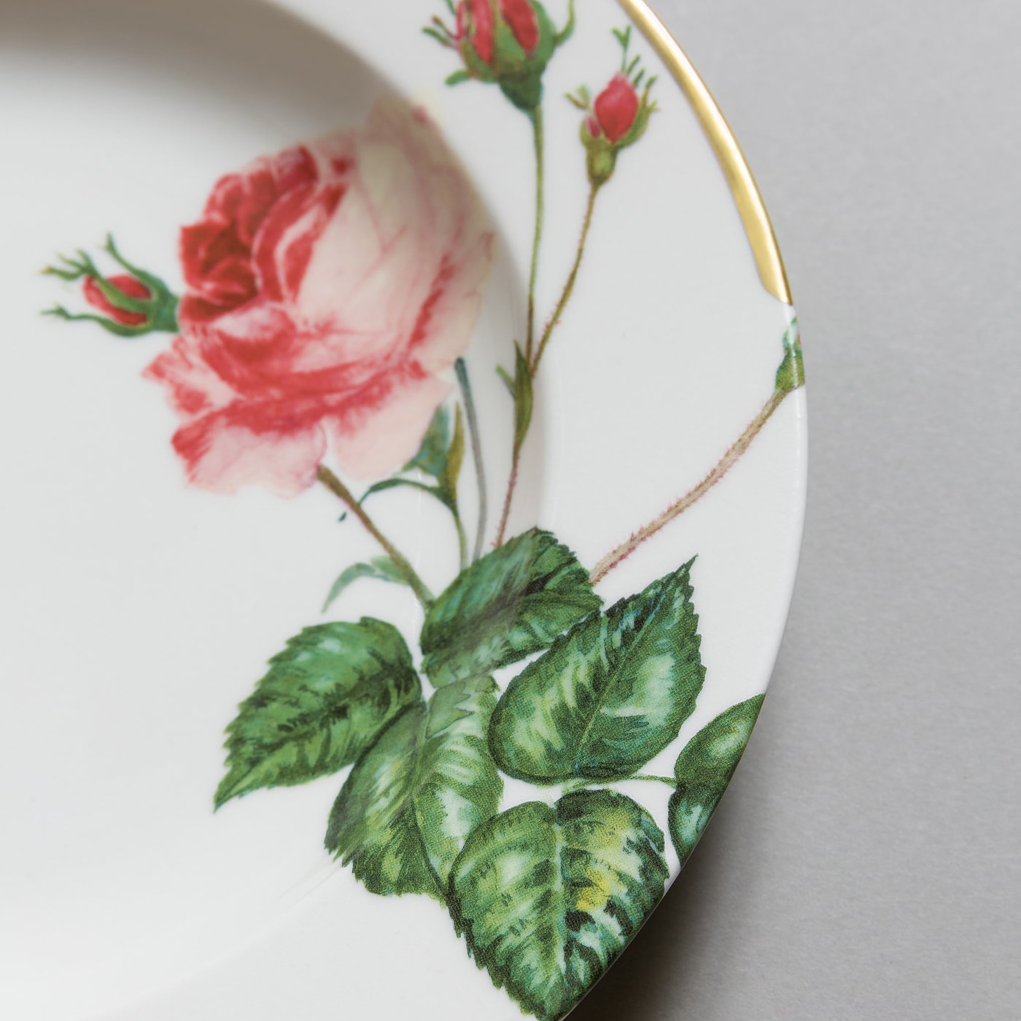 Rose Rosse Collection Dinner Plate - Alternative view 4
