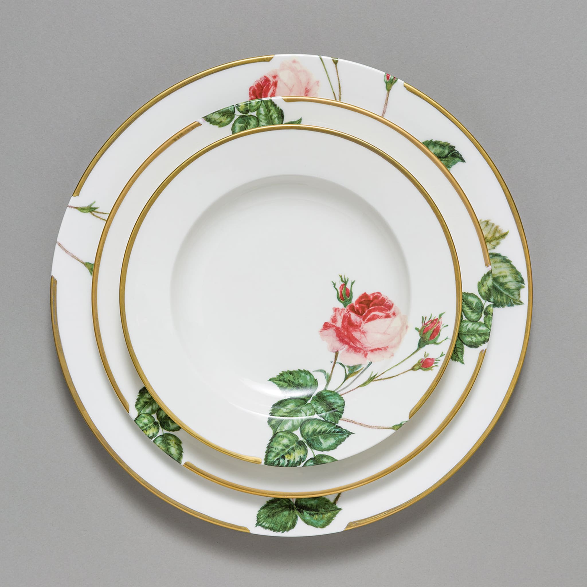 Rose Rosse Collection Dinner Plate - Alternative view 5