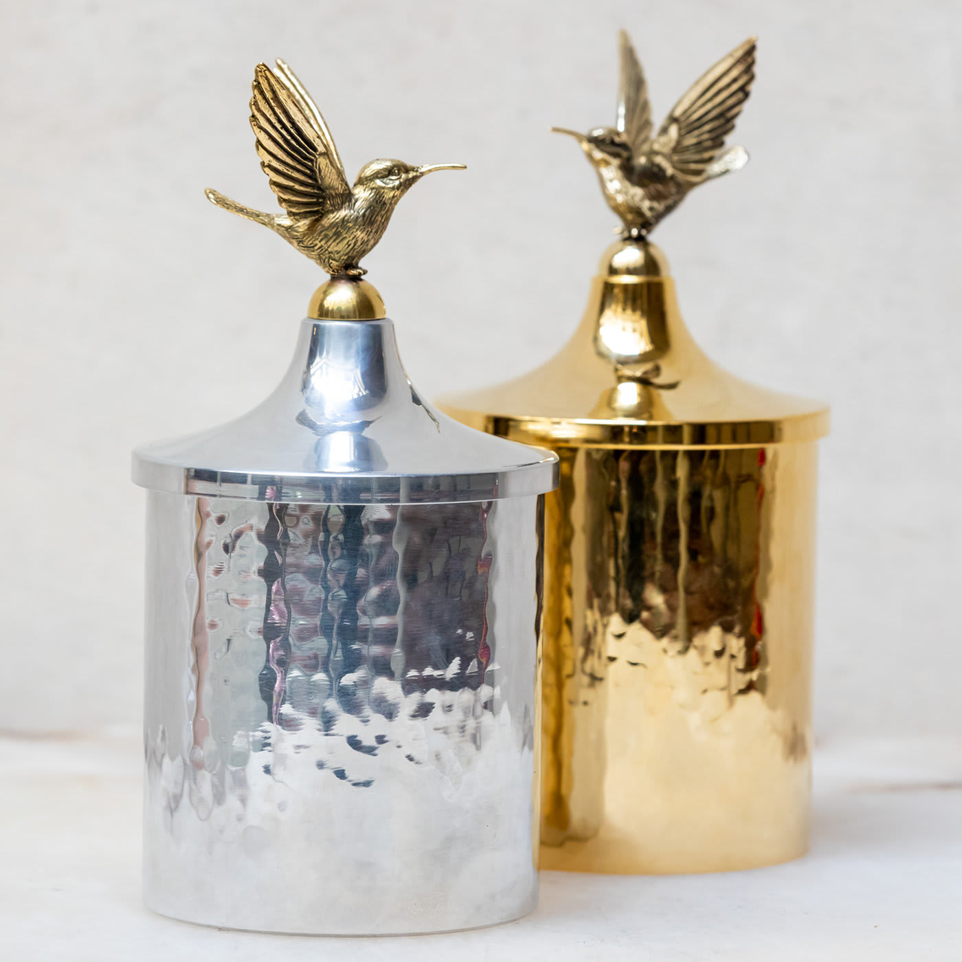 Hummingbird Container in Silver - Nicola Falcone x Aquaflor