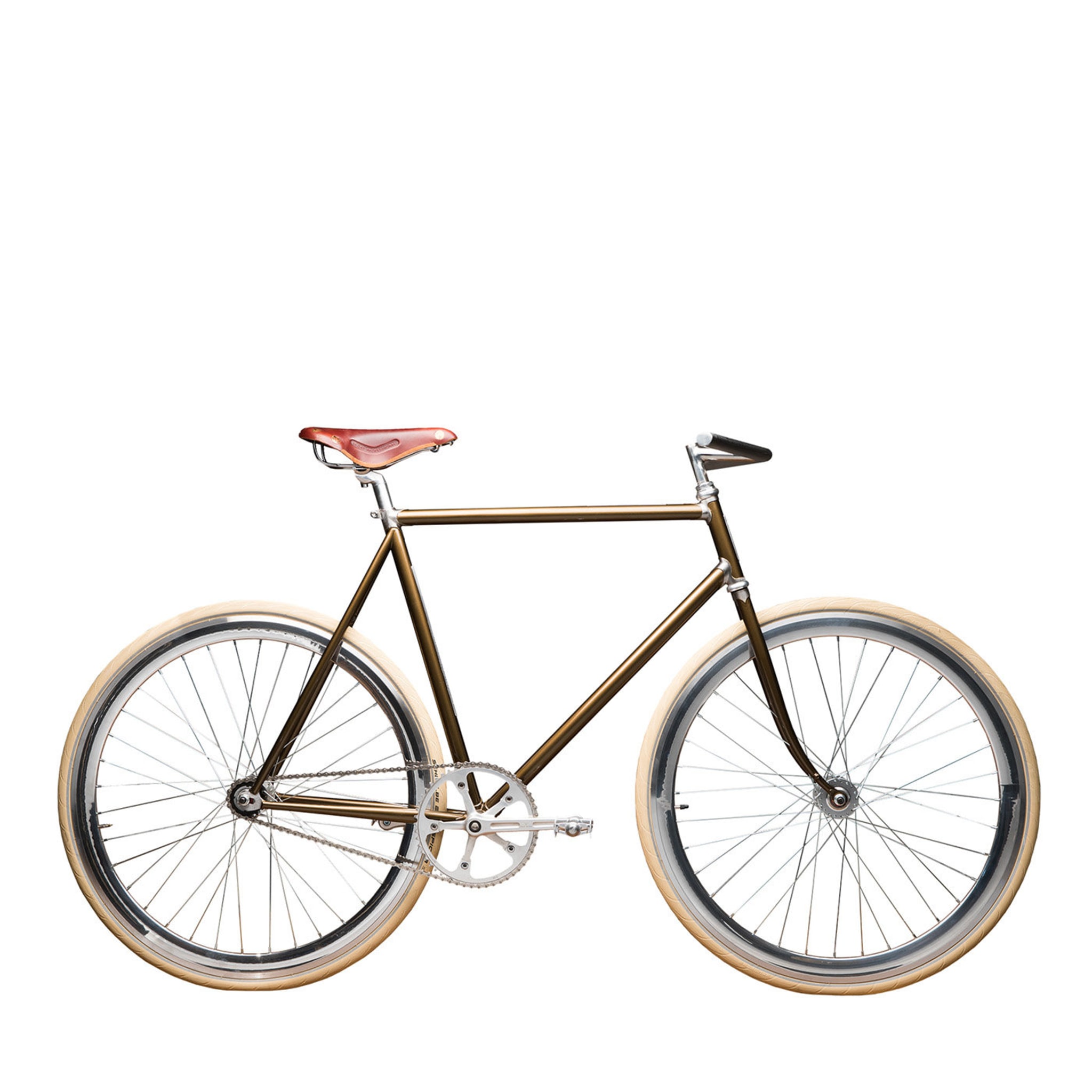 Magnifica Bicycle - Main view