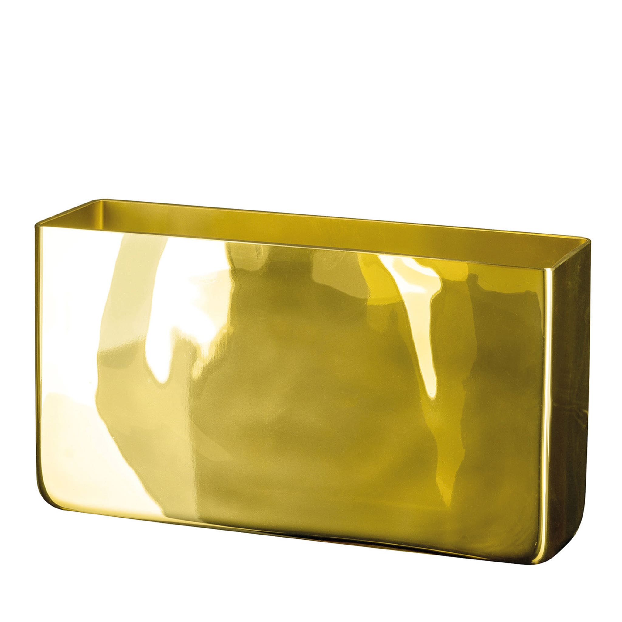 Vaso d'oro a portafoglio - Vista principale