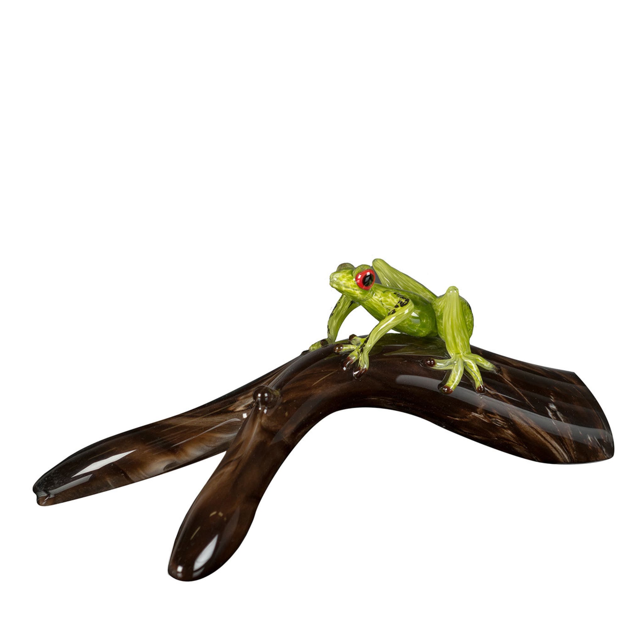 Glass Frog On A Branch  - Main view