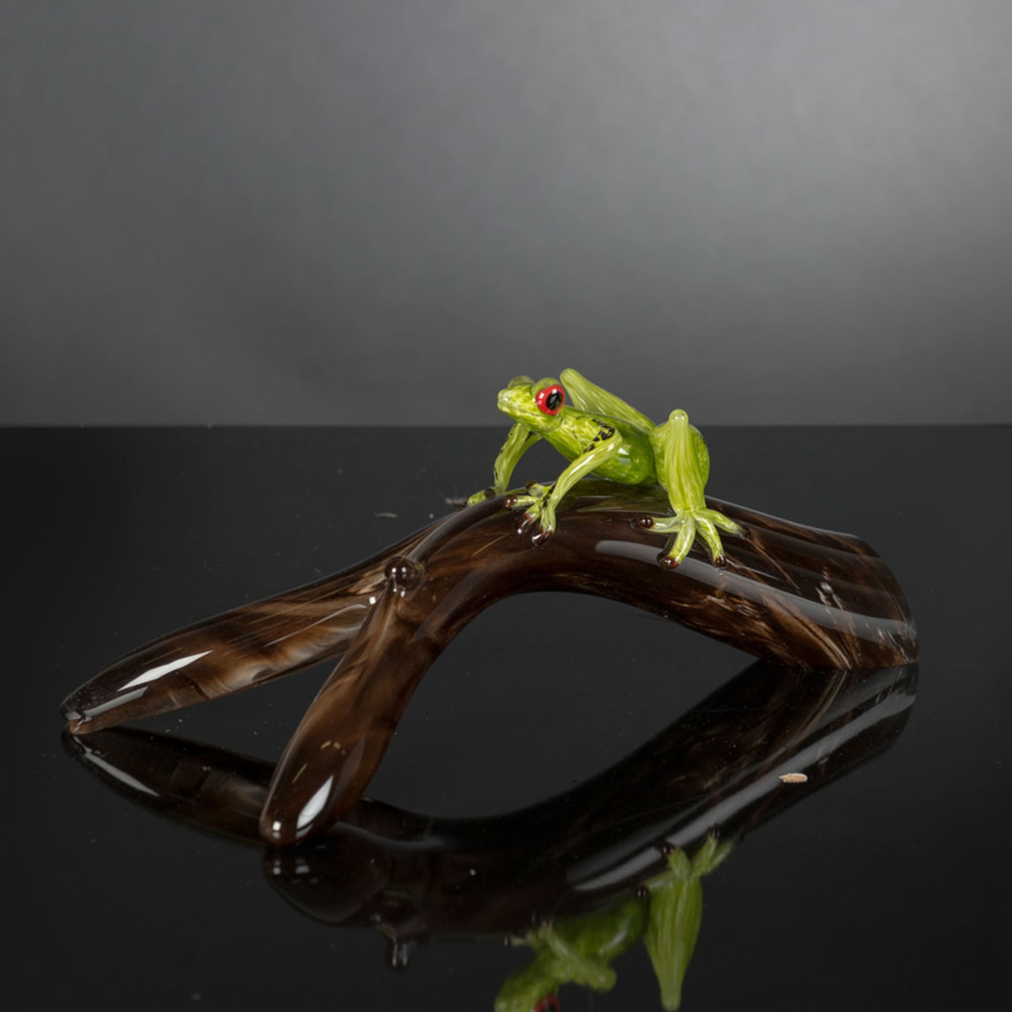Glass Frog On A Branch  - Alternative view 1