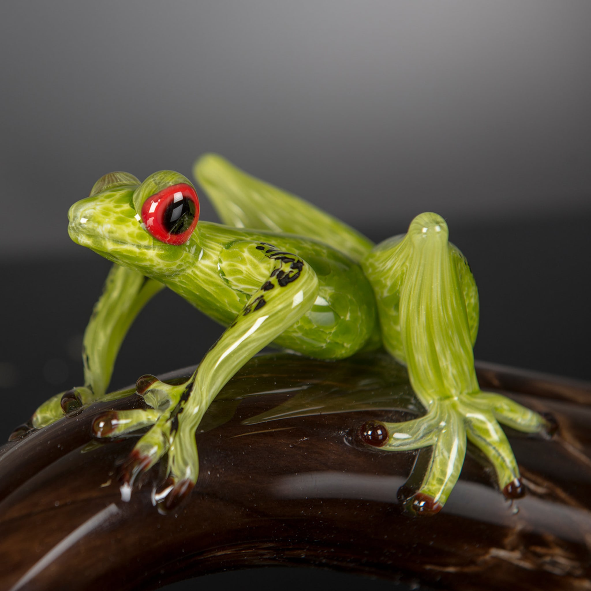 Glass Frog On A Branch  - Alternative view 2