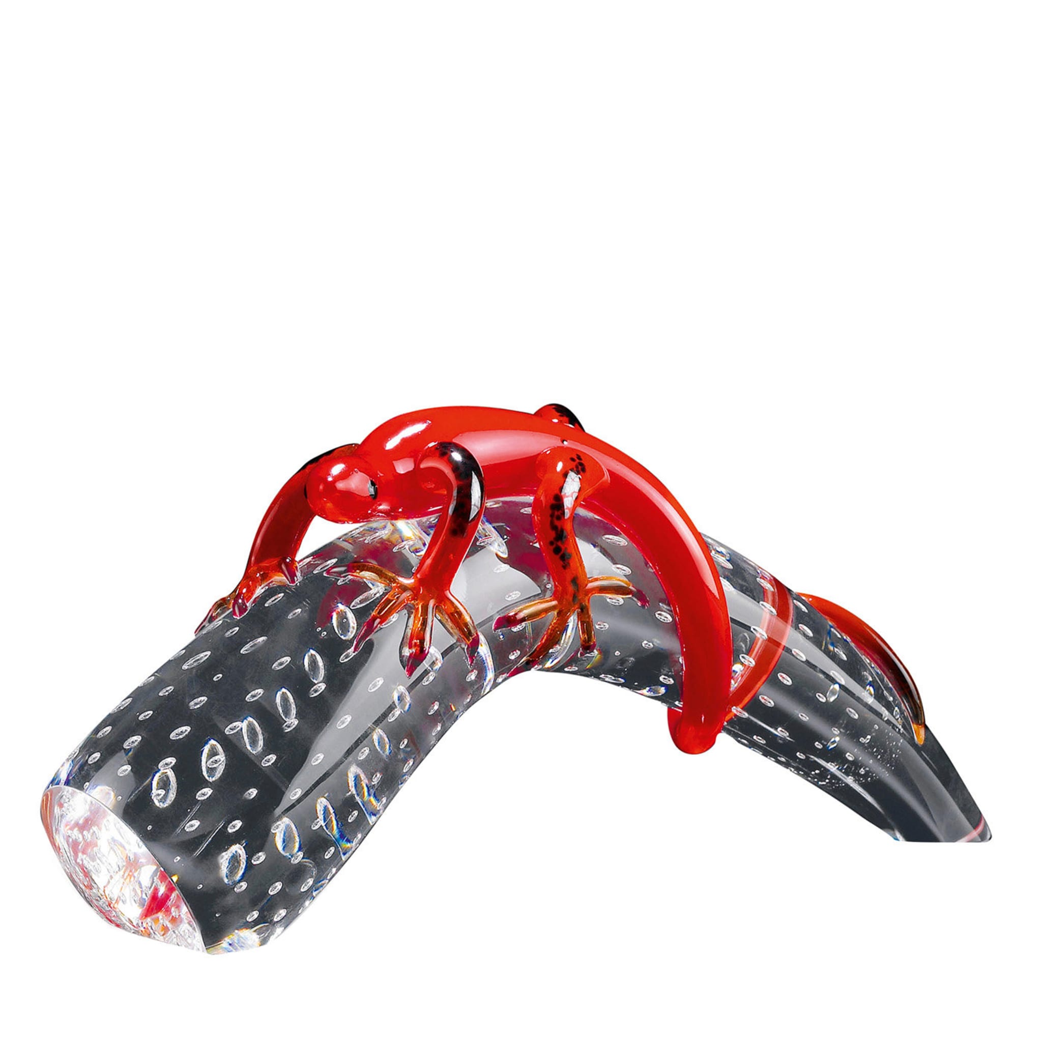Glashorn mit rotem Gecko - Hauptansicht