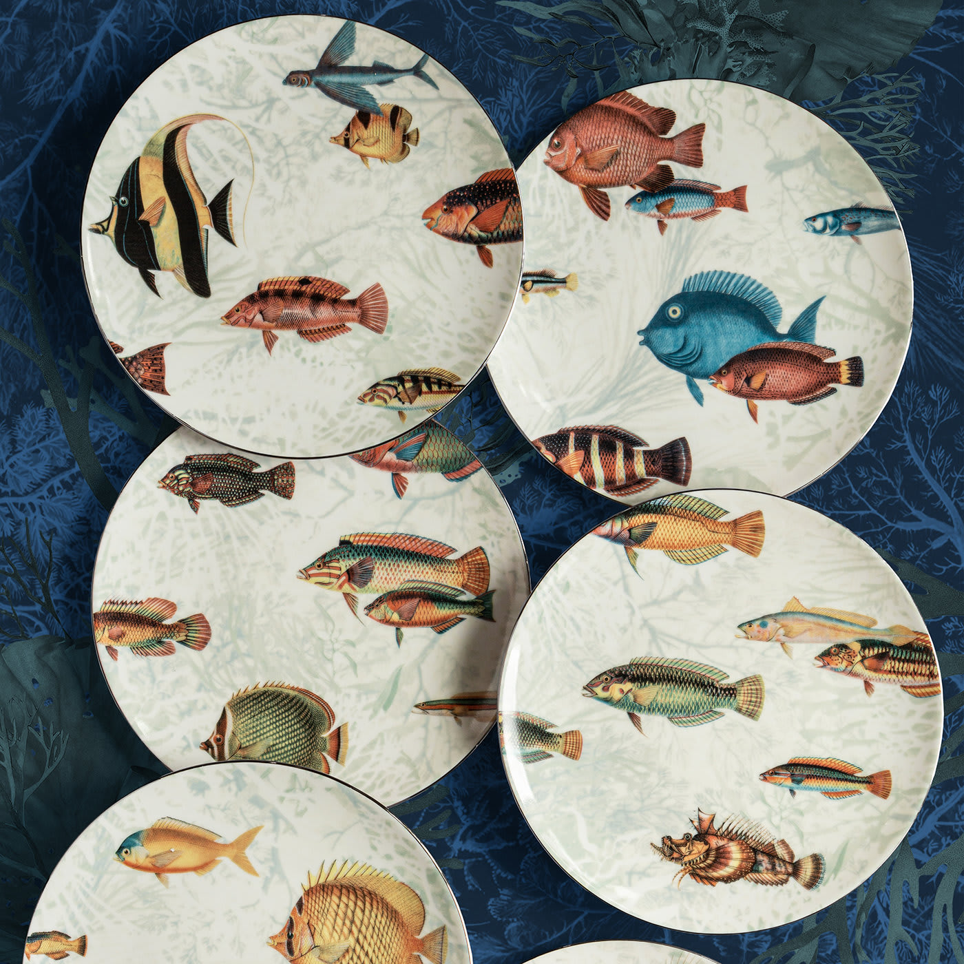 Amami Islands Blue and Red Fish Dessert Plate - Grand Tour by Vito Nesta