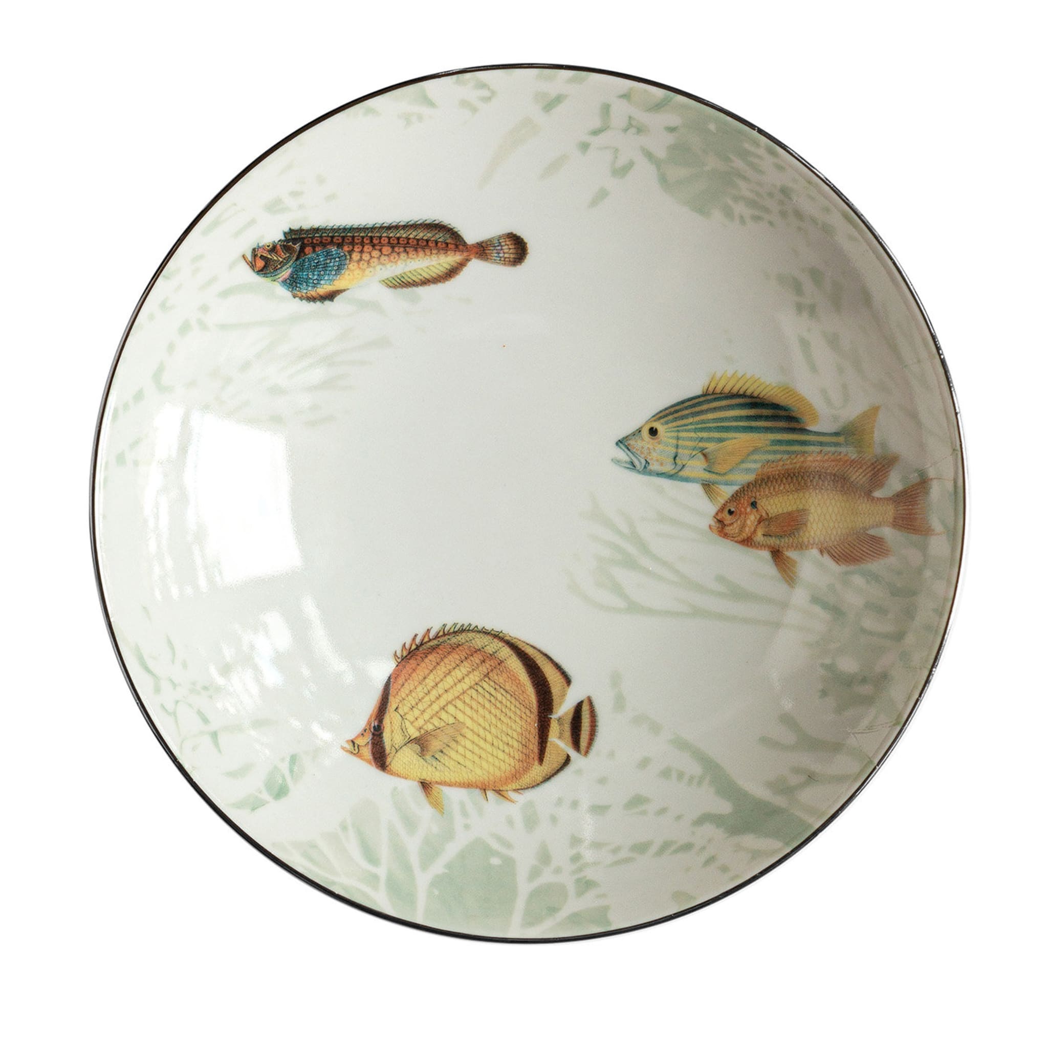 Amami Porcelain Soup Plate With Tropical Fish #2 - Main view
