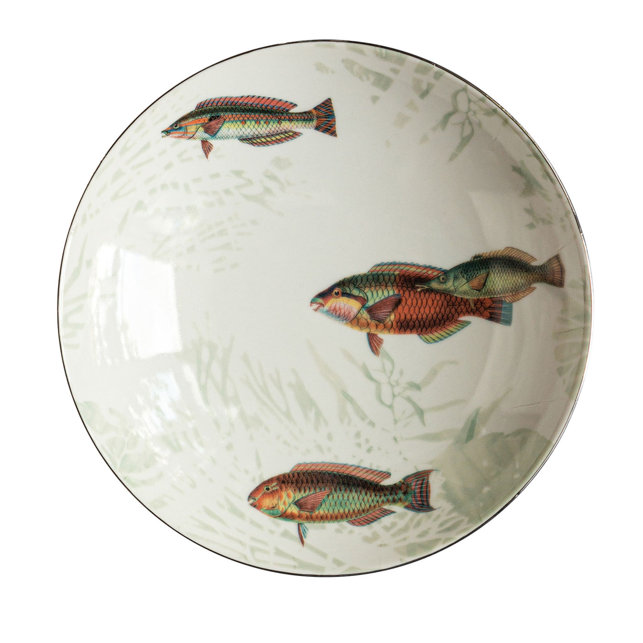 Amami Porcelain Soup Plate With Tropical Fish #3 - Main view
