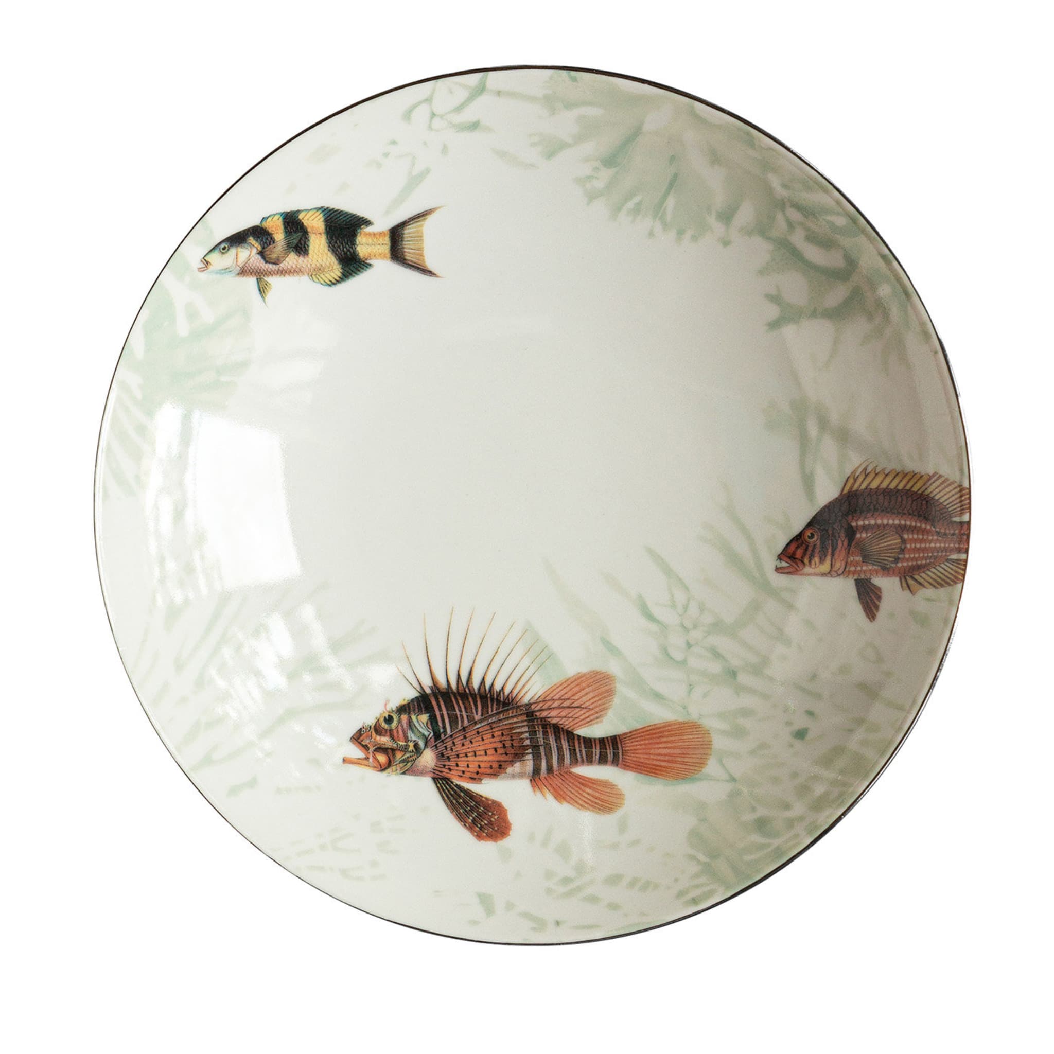 Amami Islands Red and Striped Fish Soup Plate - Main view