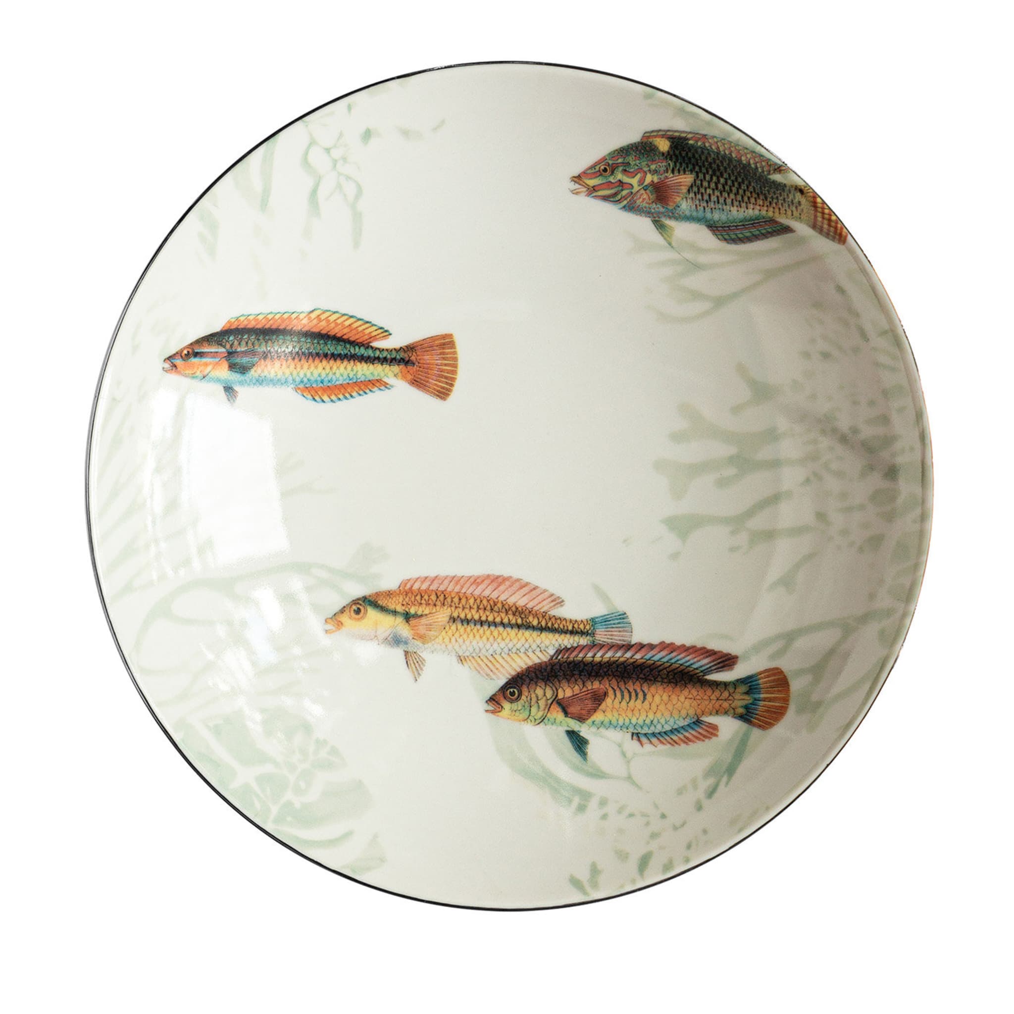Amami Islands Colorful Fish Soup Plate - Main view