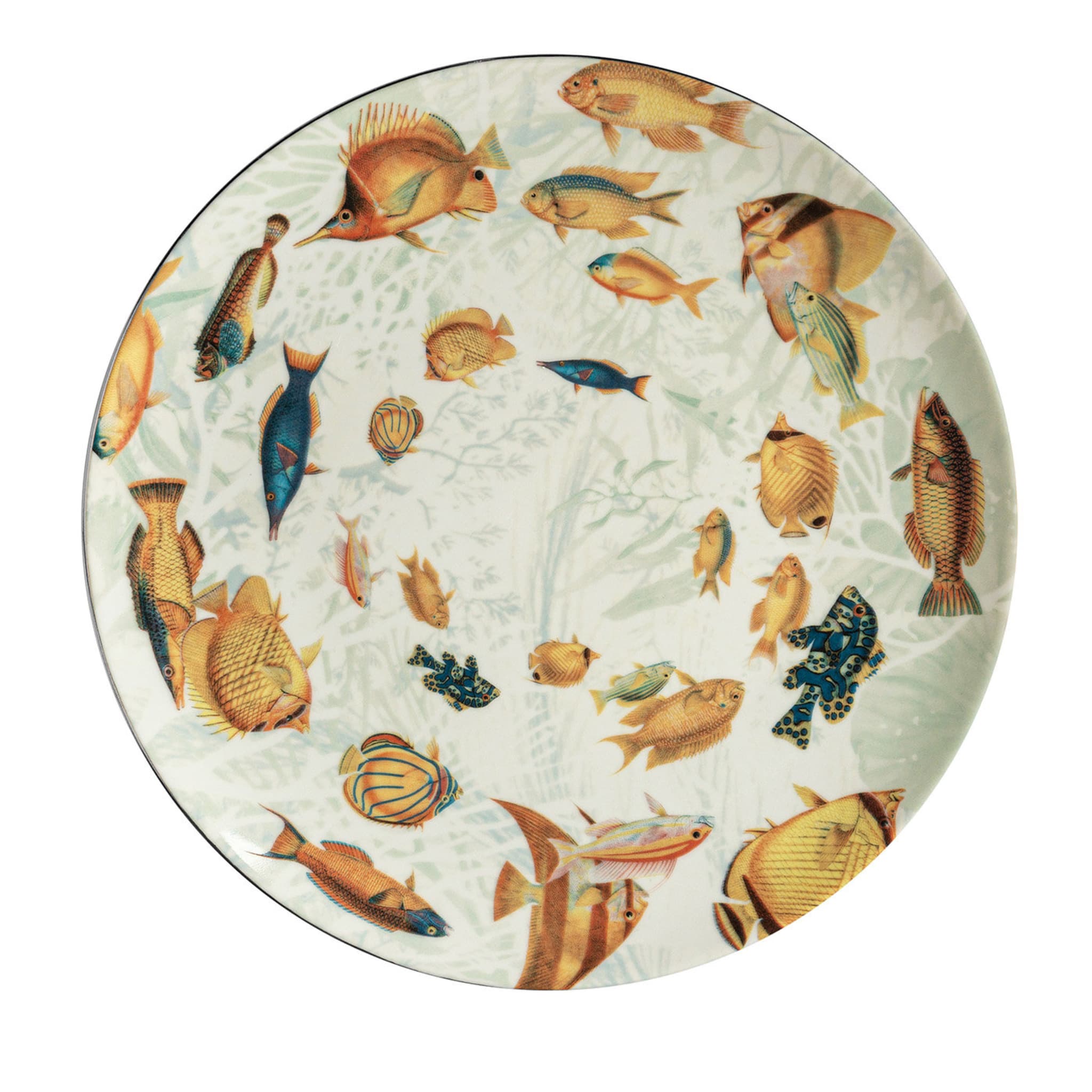 Amami Porcelain Dinner Plate With Tropical Fish #2 - Main view