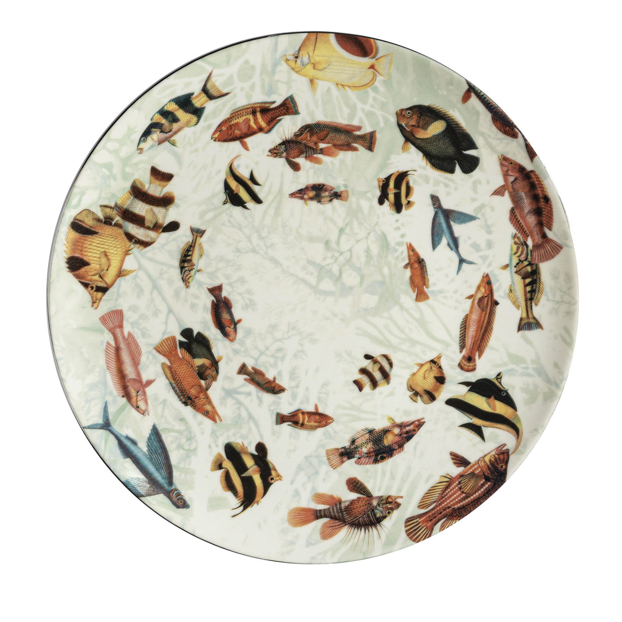 Amami Porcelain Dinner Plate With Tropical Fish #4 - Main view