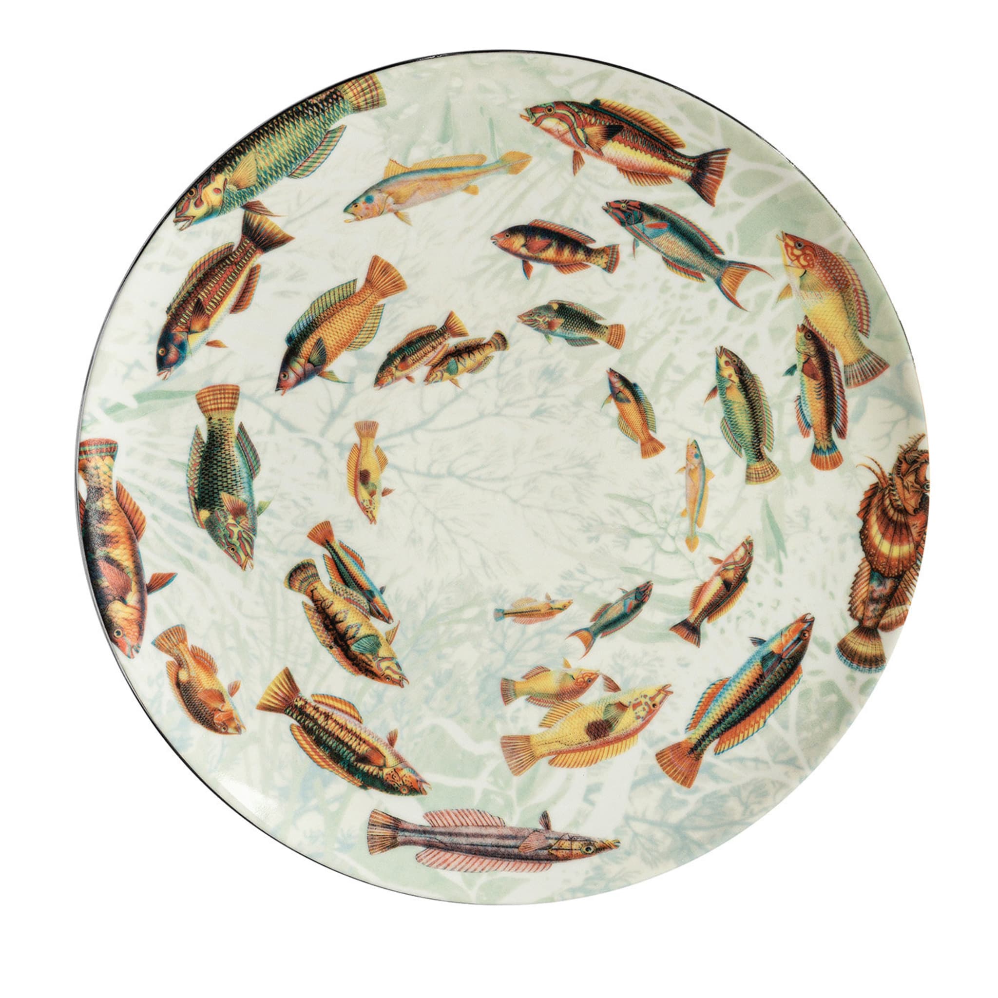 Amami Porcelain Dinner Plate With Tropical Fish #5 - Main view
