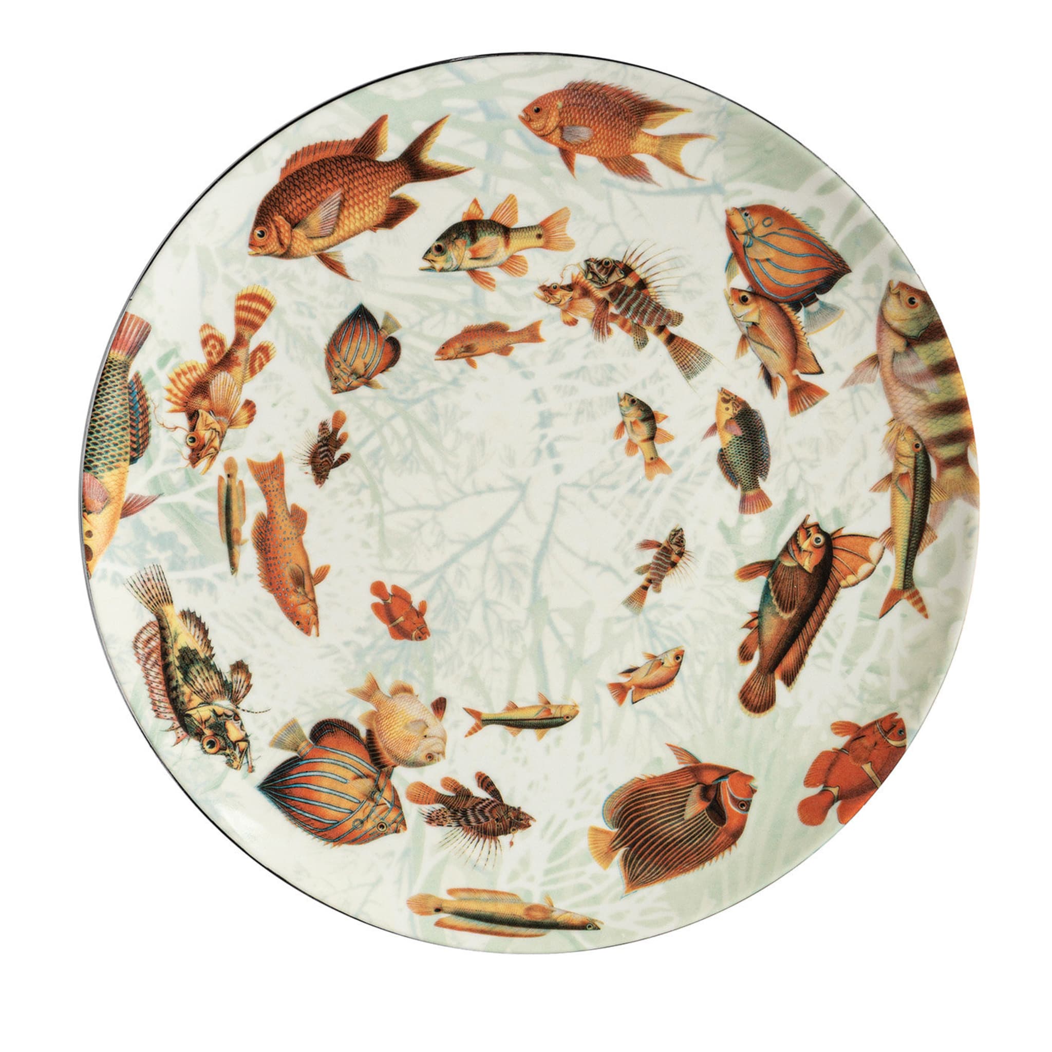 Amami Porcelain Dinner Plate With Tropical Fish #6 - Main view