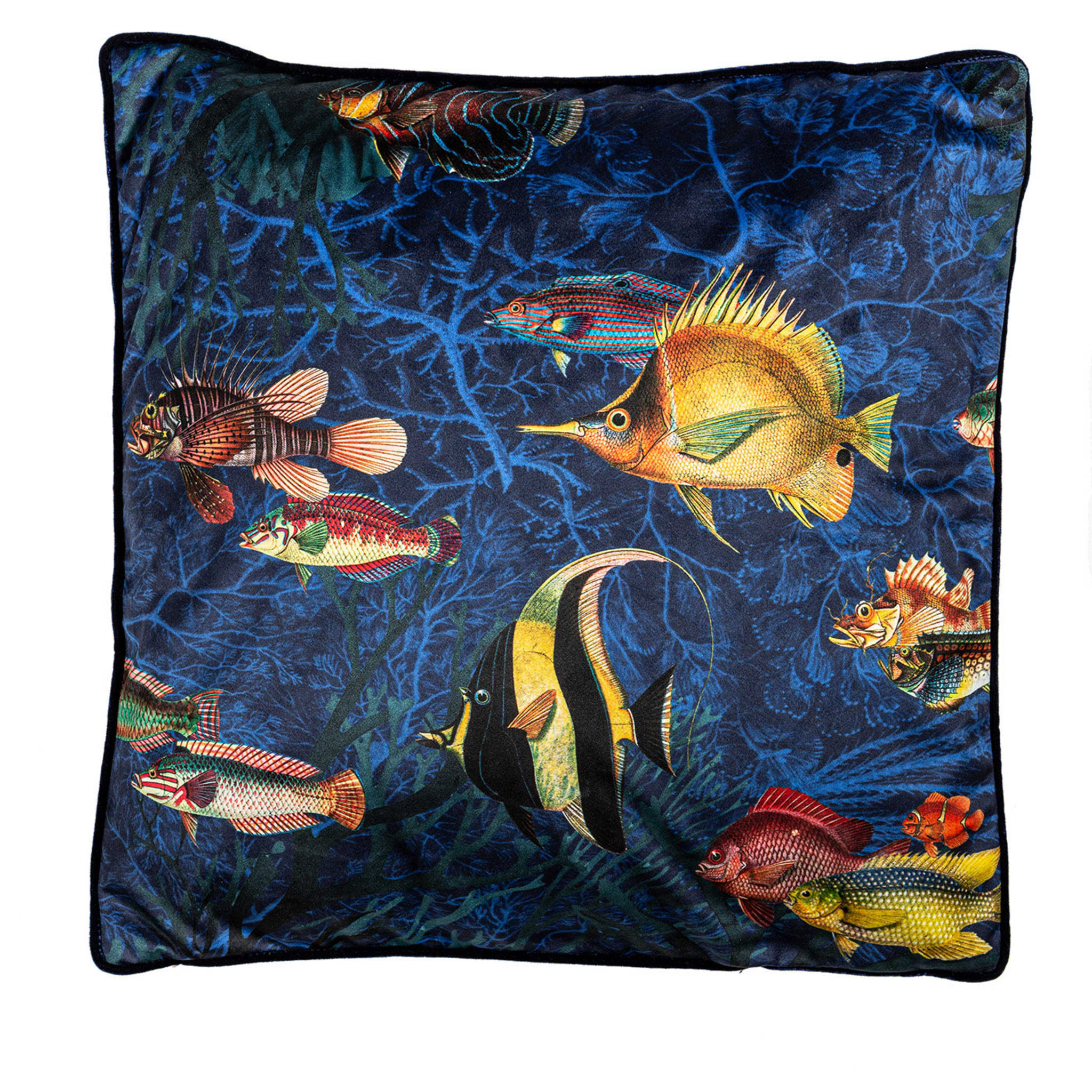 Amami Islands Velvet Cushion With Tropical Fish #1 - Main view