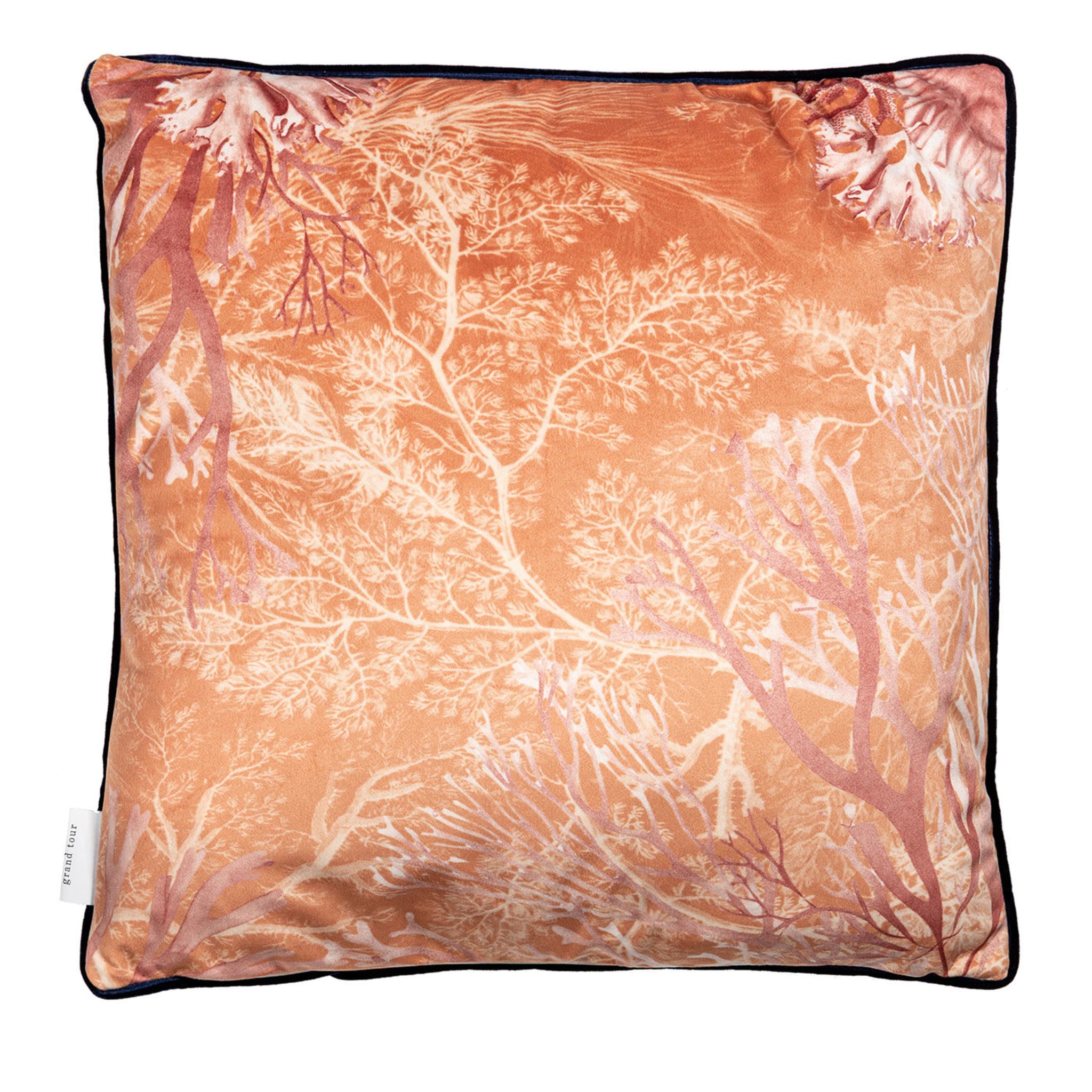 Amami Islands Velvet Cushion With Tropical Fish #4 - Alternative view 1