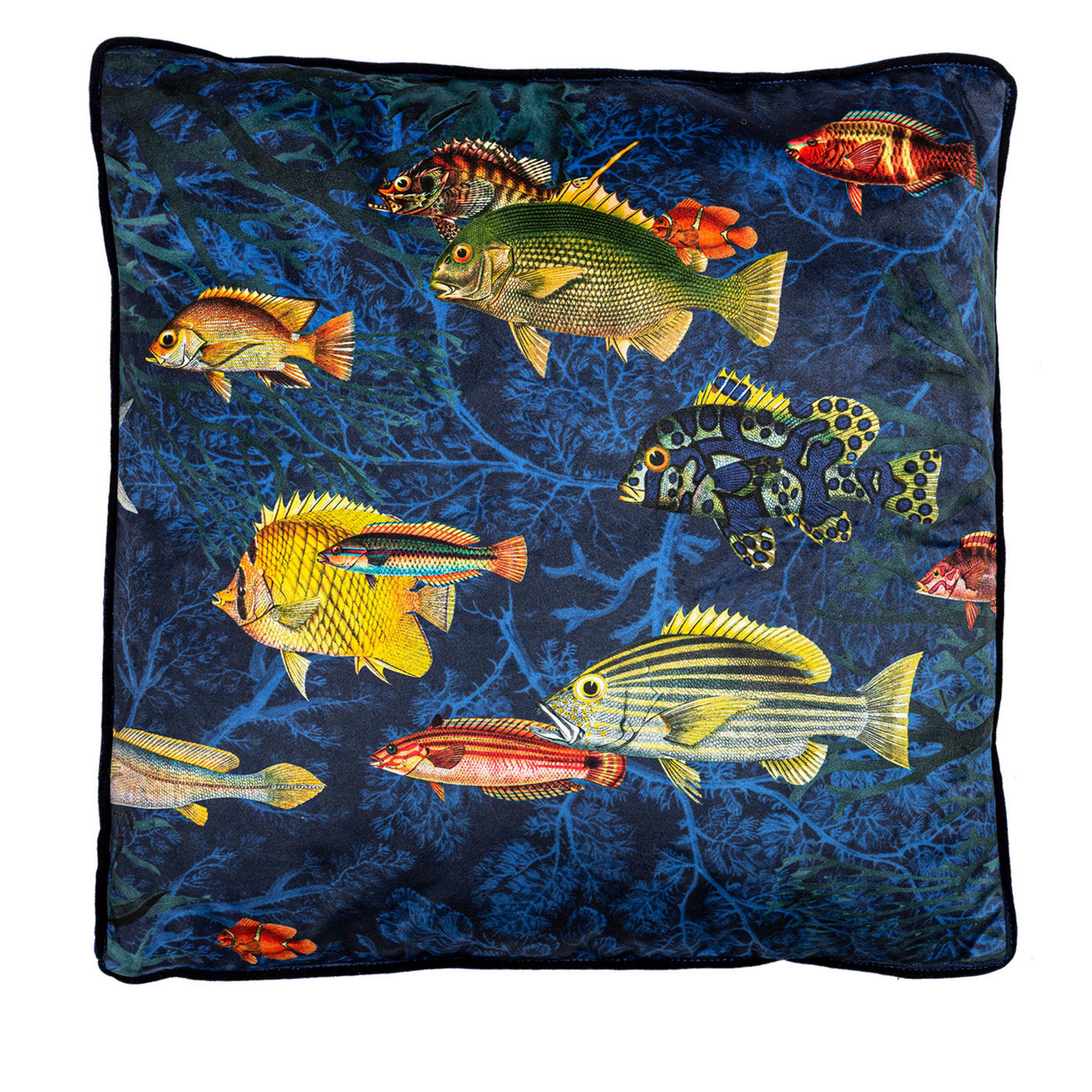 Amami Islands Velvet Cushion With Tropical Fish #6 - Main view